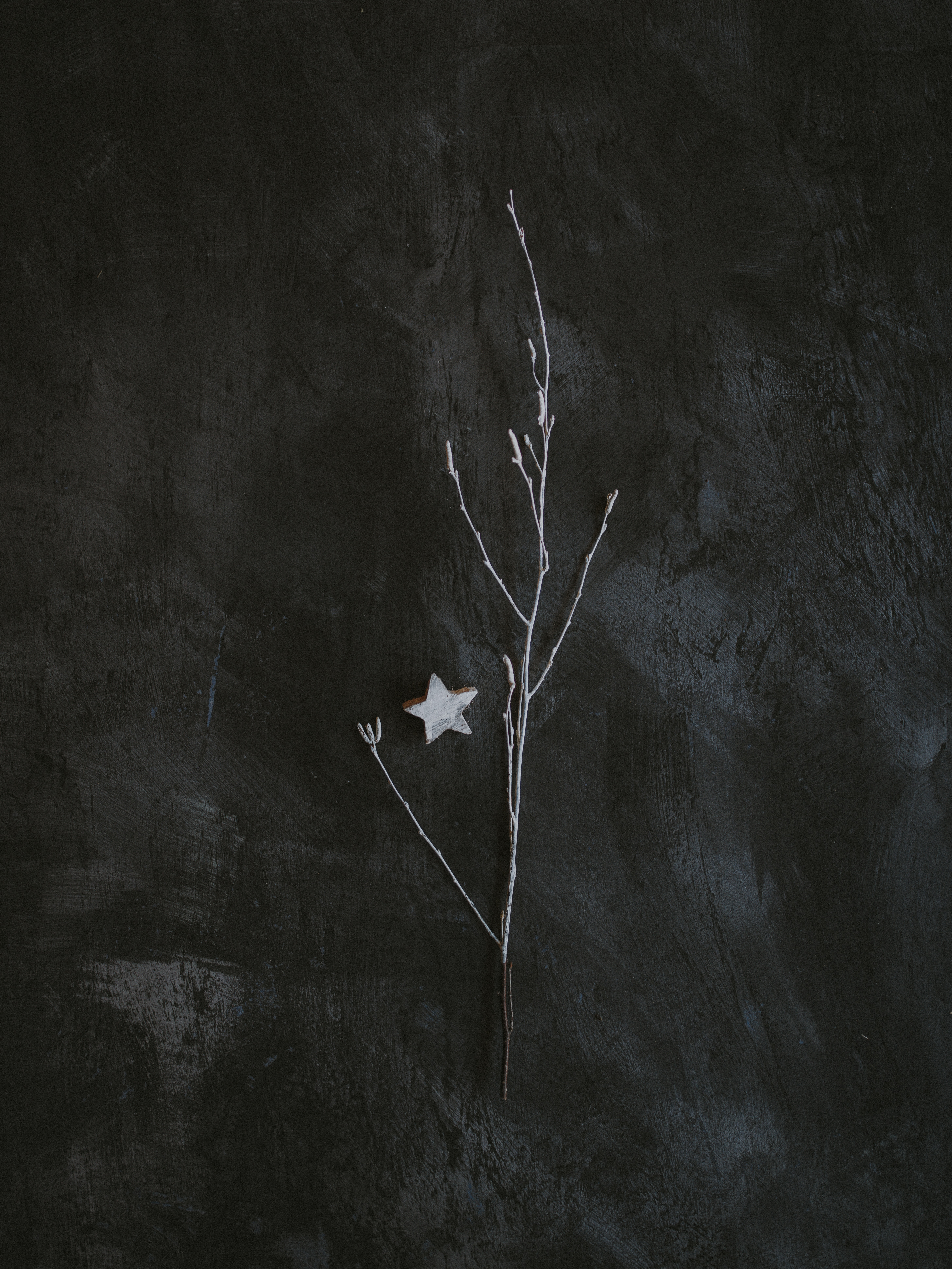 grey, minimalism, miscellanea, miscellaneous, branch, star cell phone wallpapers