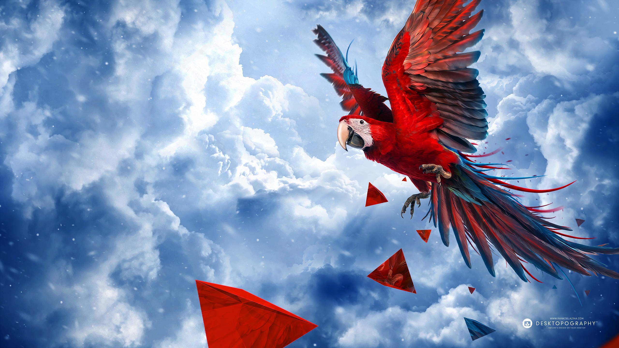 Download PC Wallpaper animal, red and green macaw, macaw, birds