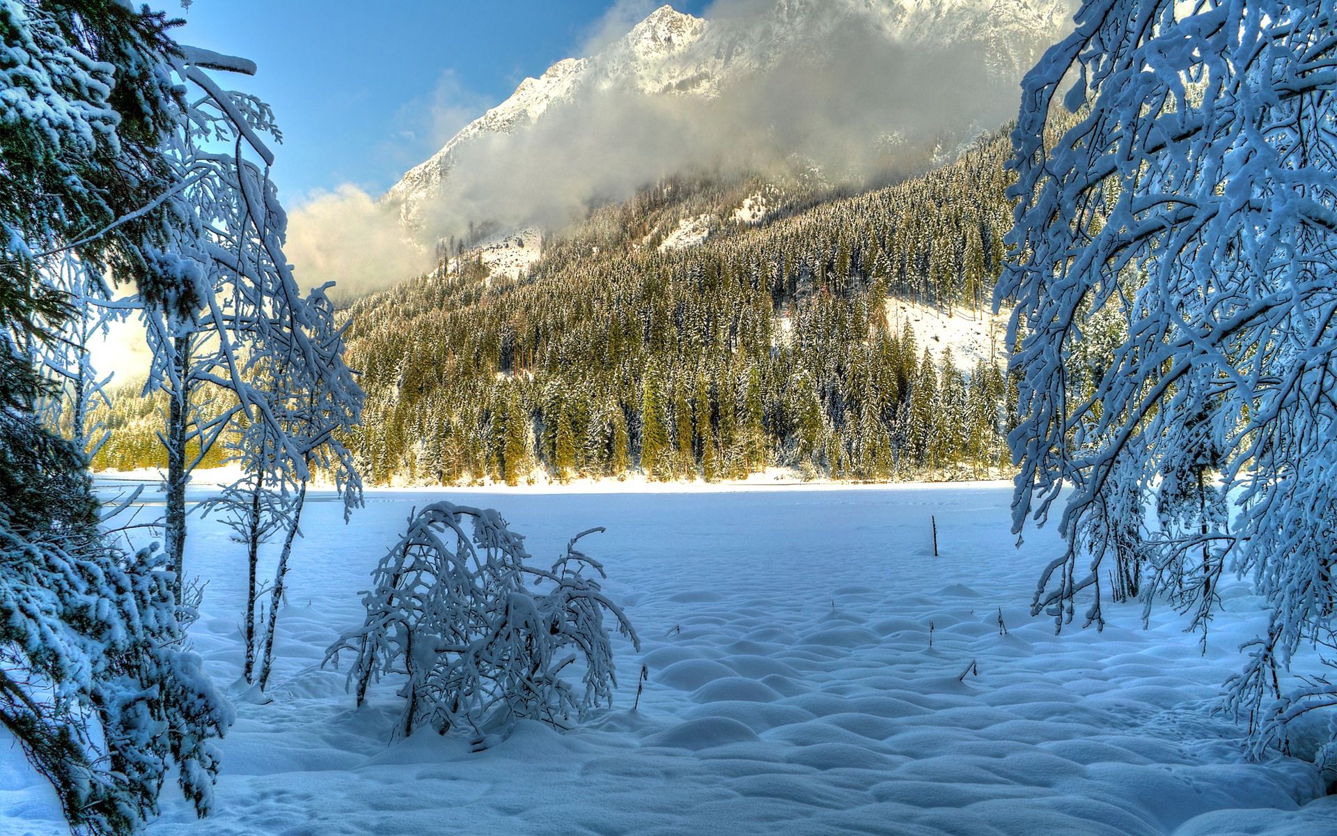 免费下载冬天, 性质, 云, 雪, 山丘, 丘陵, 雪覆盖, 白雪覆盖, 阳光明媚, 树手机壁纸。