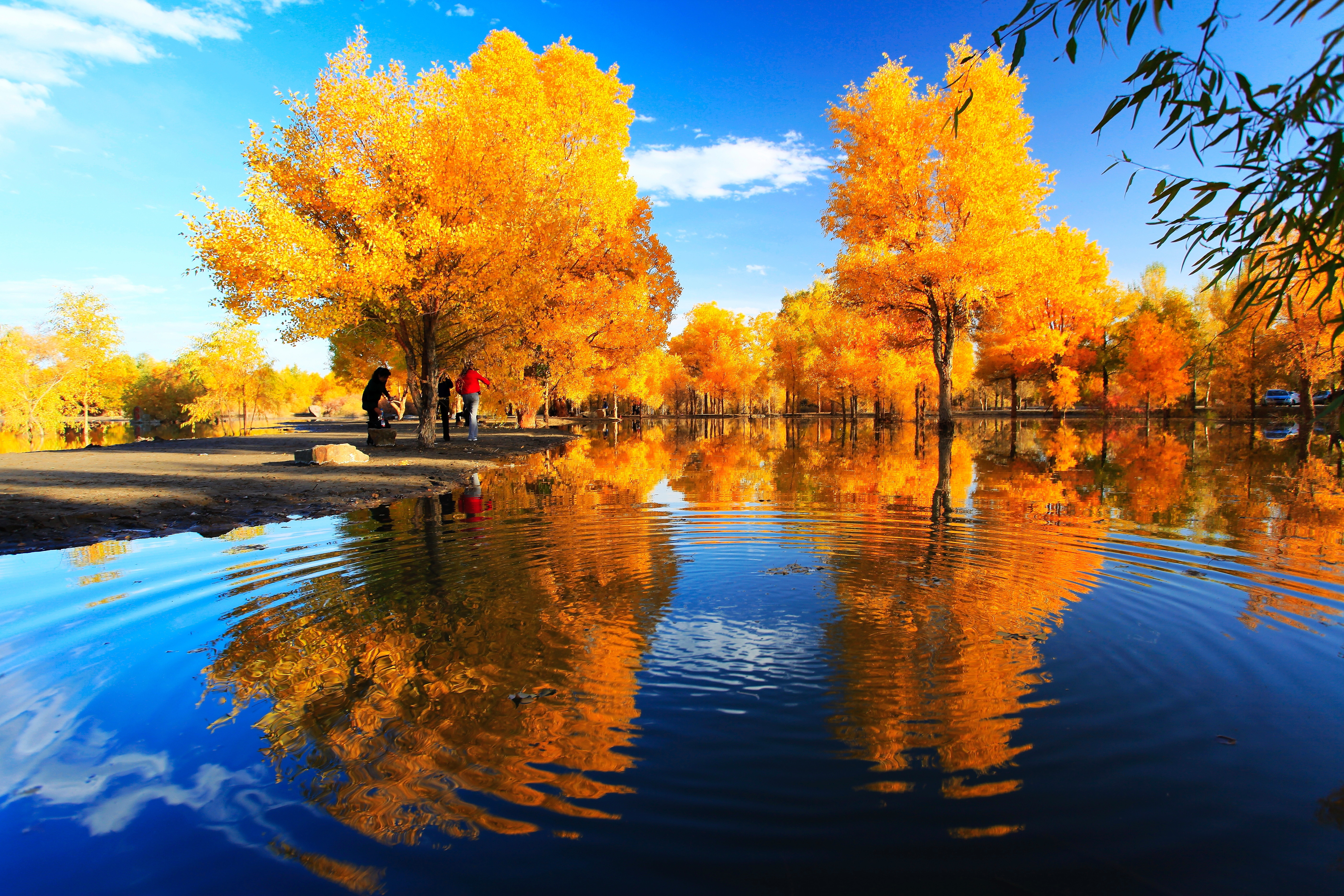 Осенние пейзажи осени. Красивая осень. Осенний пейзаж. Золотая осень. Природа осень.