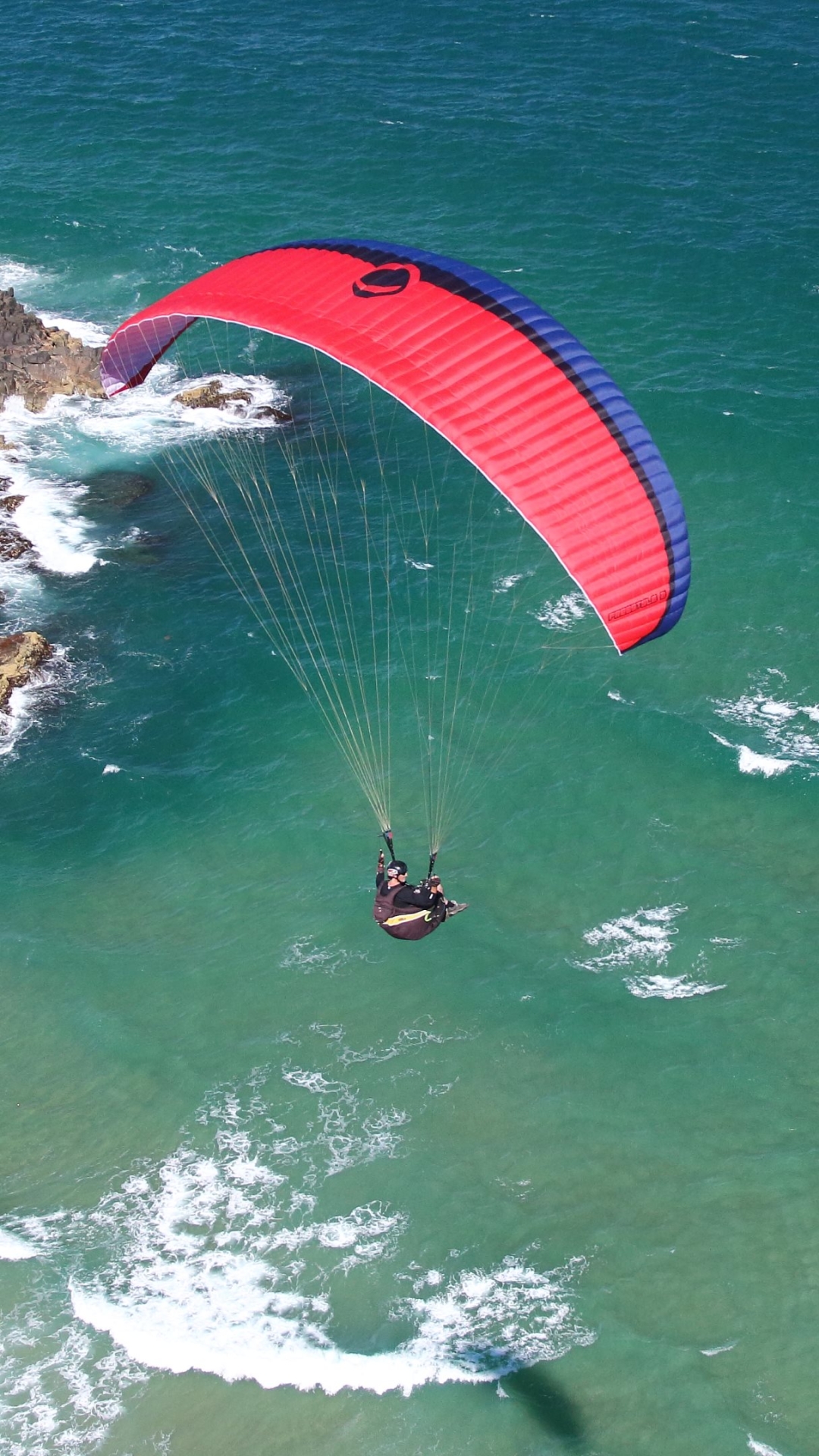 HD wallpaper paragliding, sports