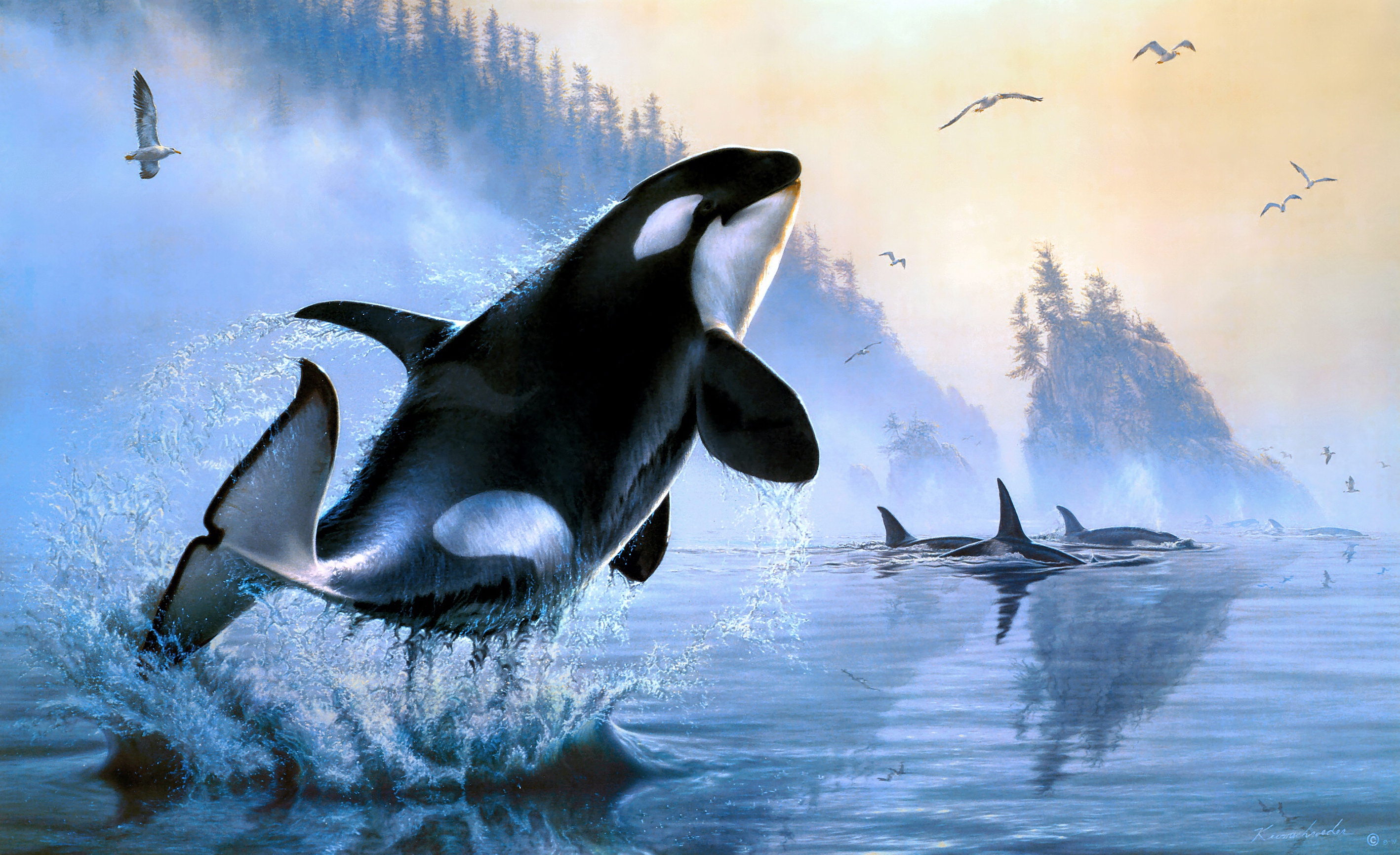 orca, animal, painting, sea life phone background