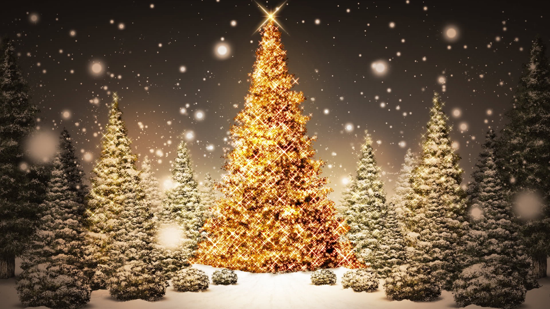 Free HD christmas, christmas lights, christmas tree, snow, holiday