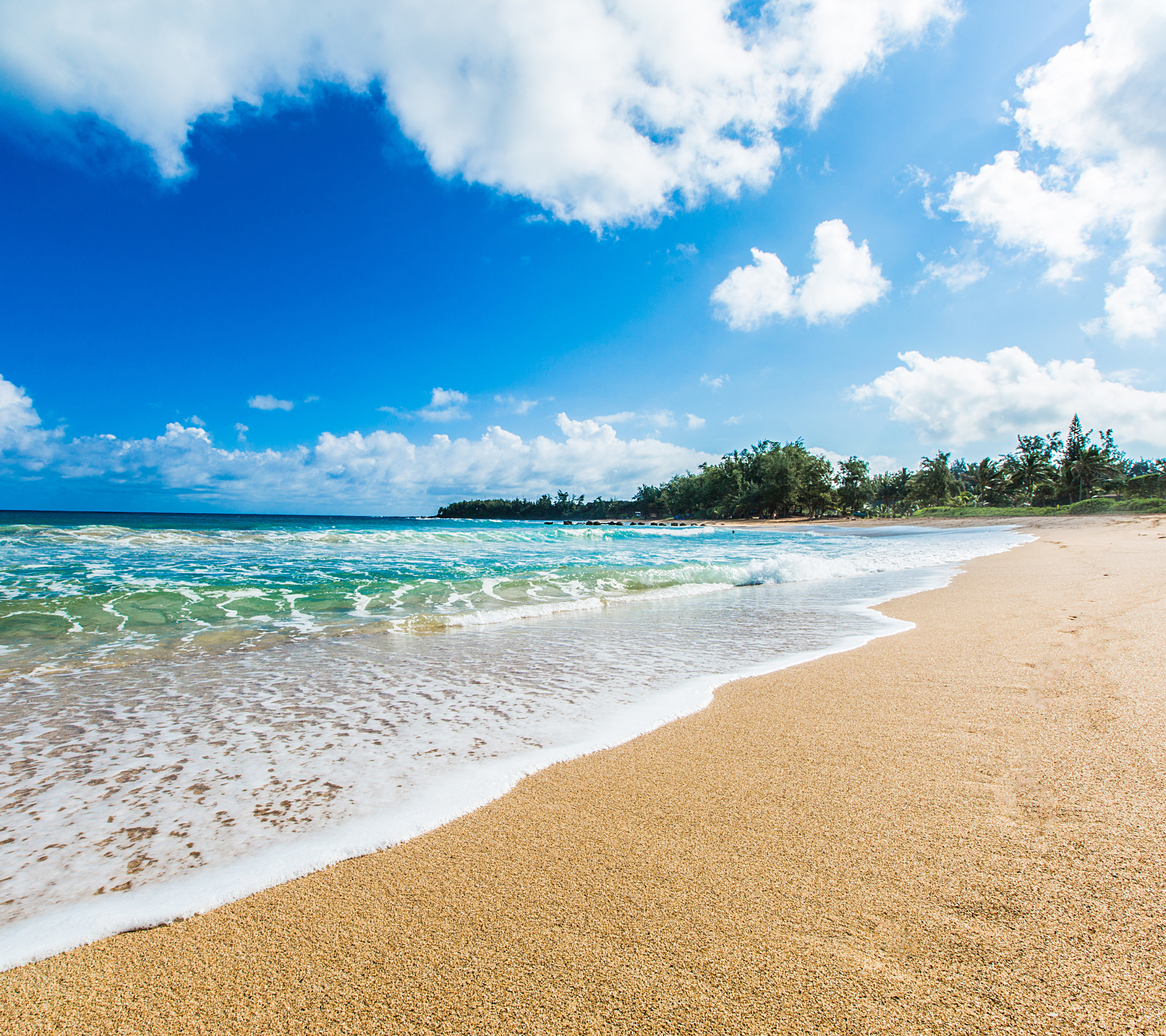 1272936 télécharger le fond d'écran terre/nature, plage, kauai, hawaii, horizon, palmier, tropical, mer, océan - économiseurs d'écran et images gratuitement