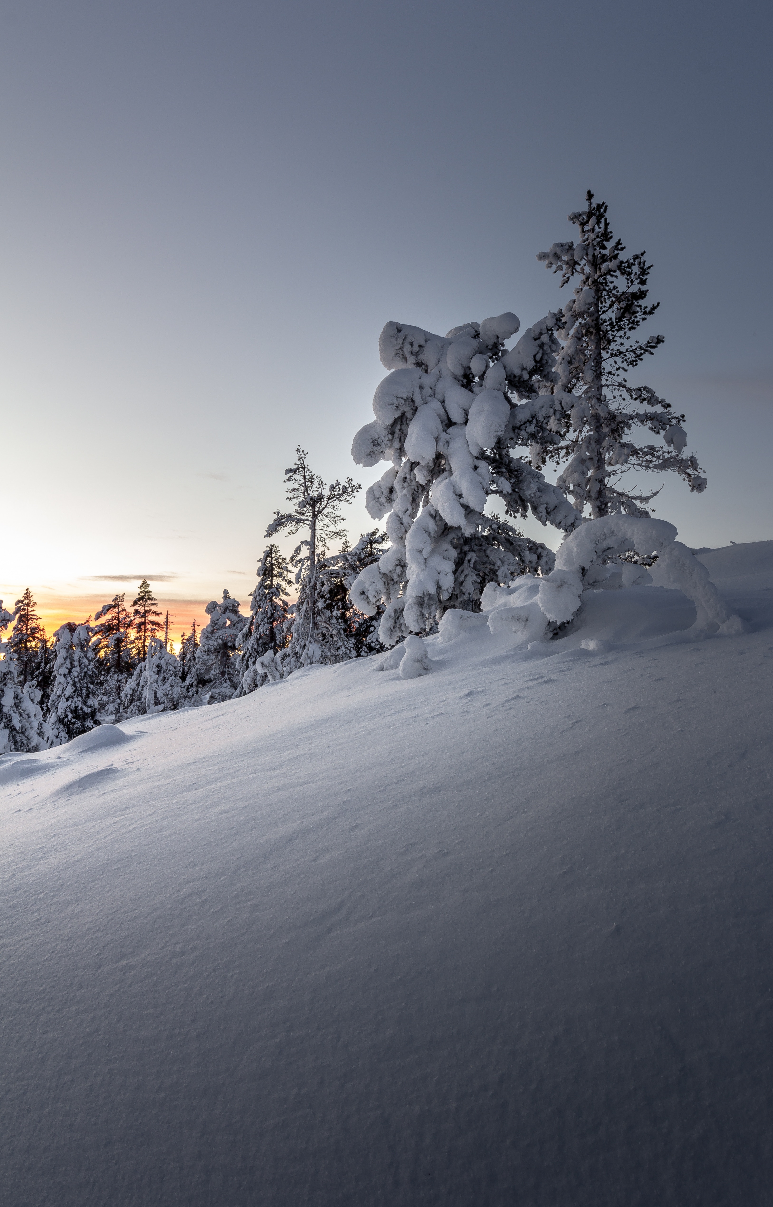 Download mobile wallpaper Drifts, Snowbound, Snow Covered, Snow, Trees, Winter, Nature, Sunset for free.