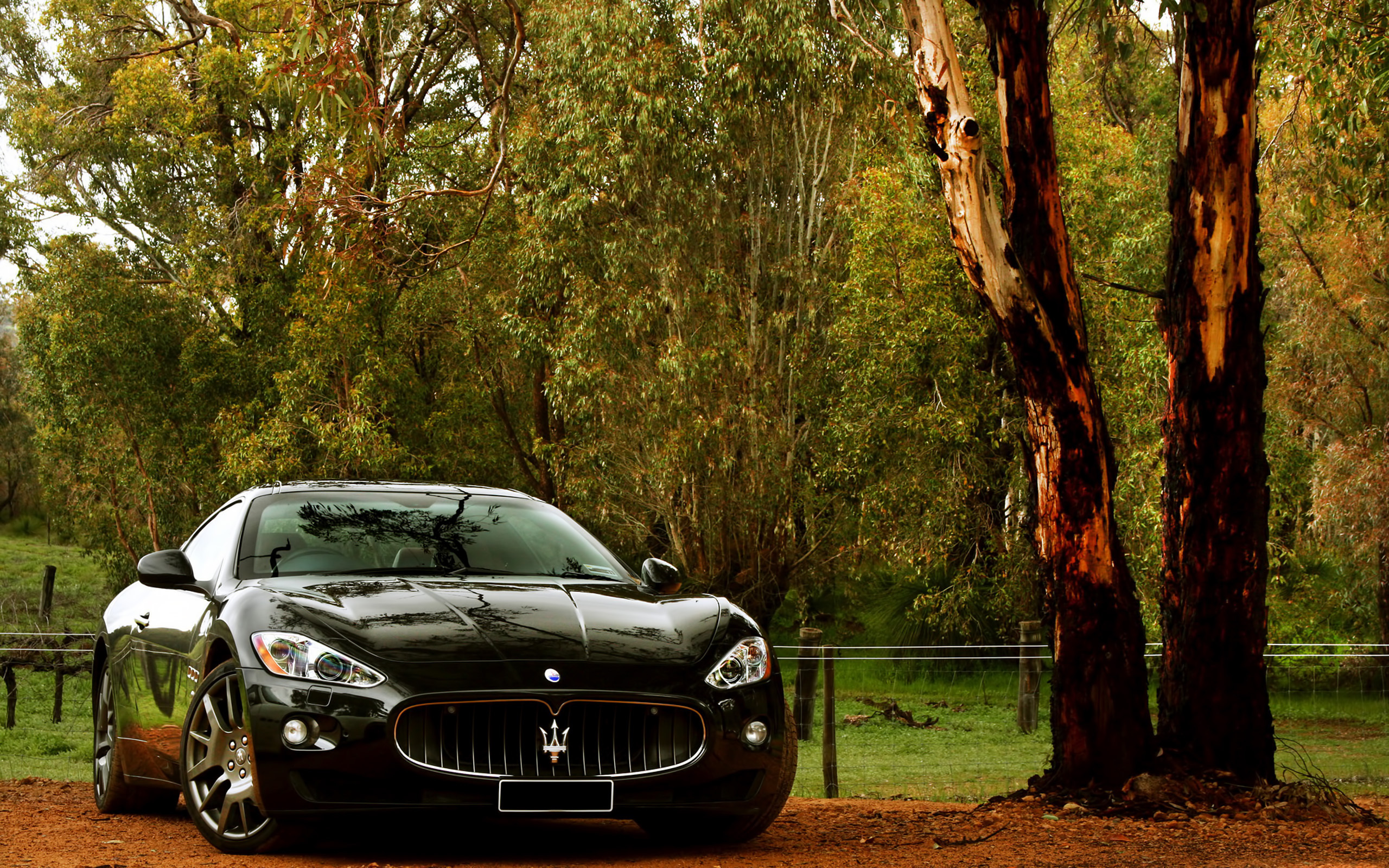 Скачать картинку Мазератти (Maserati), Машины, Транспорт в телефон бесплатно.