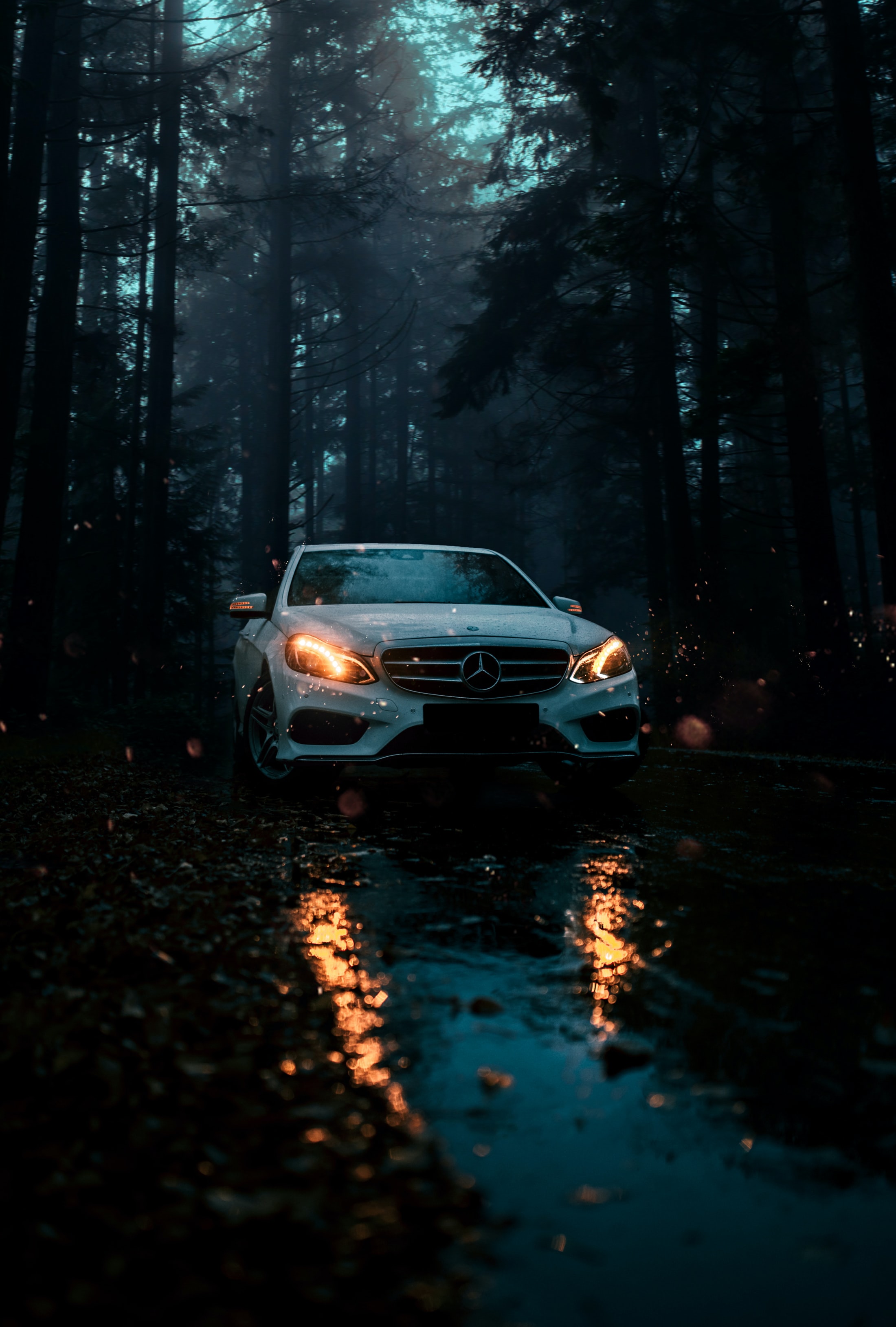 cars, car, front view, mercedes, forest, white 2160p