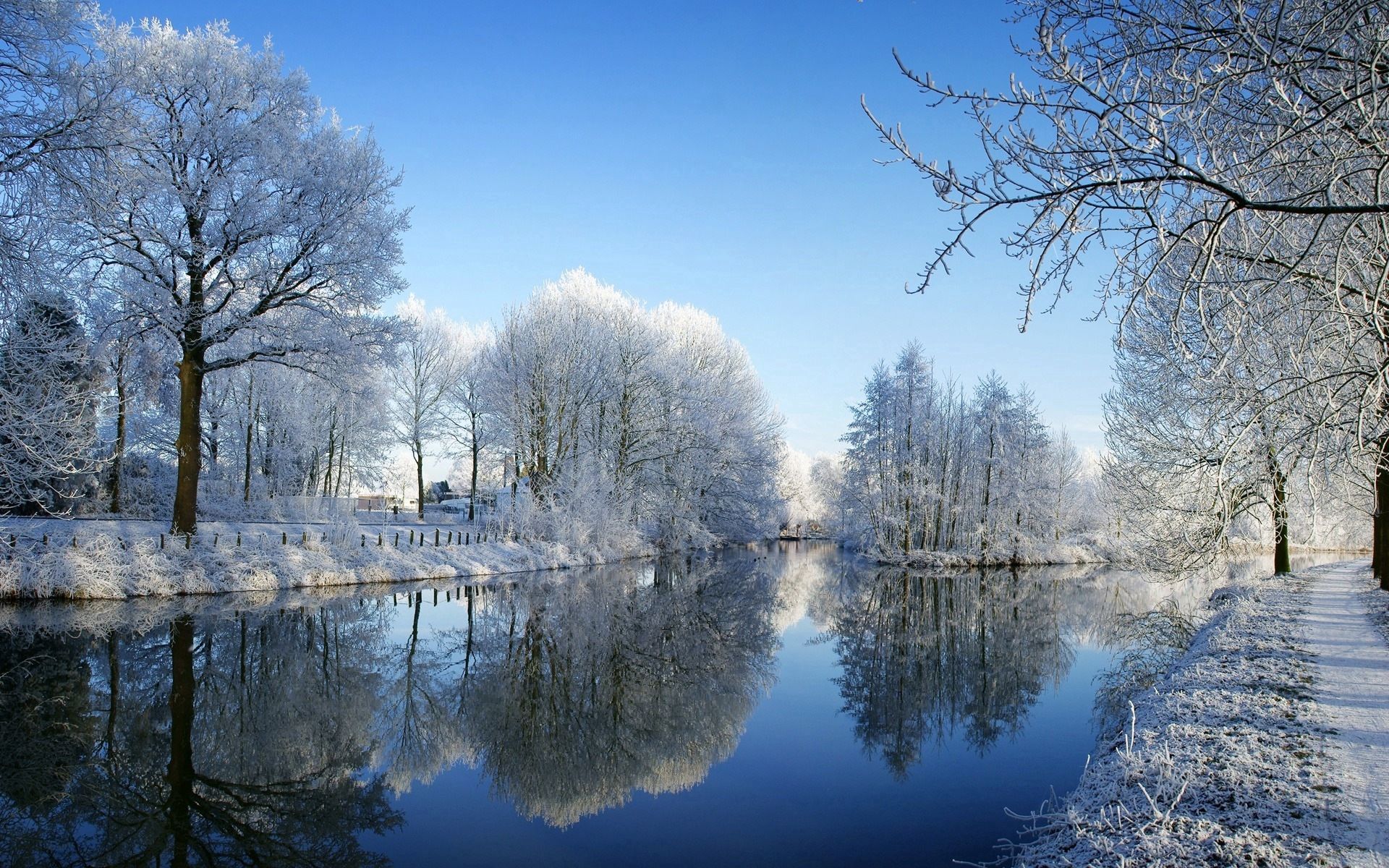 winter, nature, rivers, trees, reflection, park, frost, hoarfrost Panoramic Wallpaper