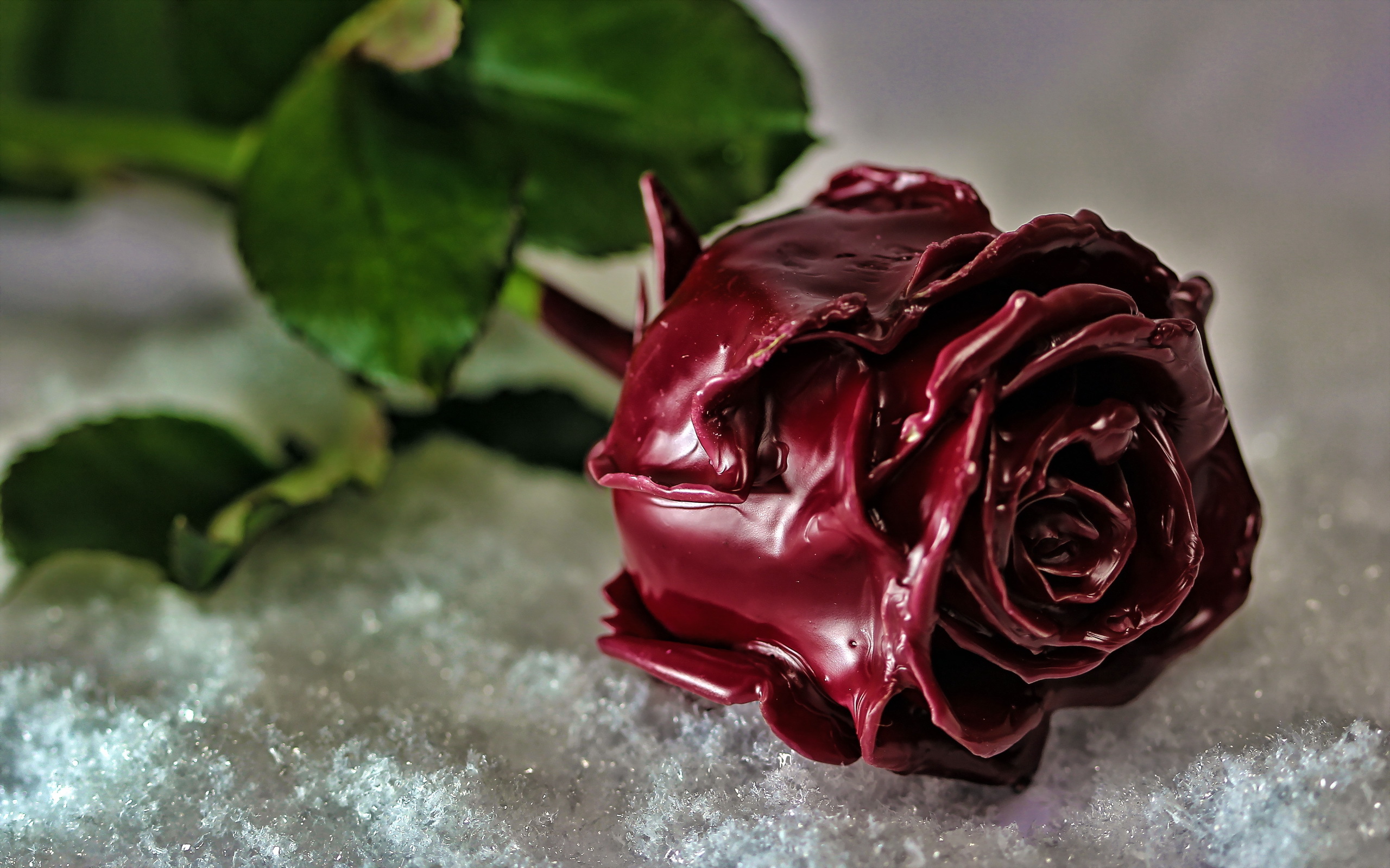 красивые розы картинки хорошего качества на заставку