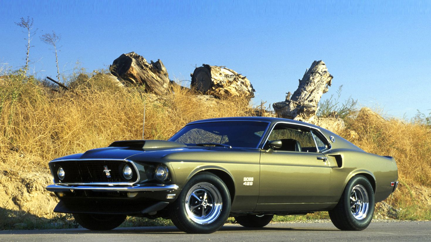 Ford Мустанг muscle car