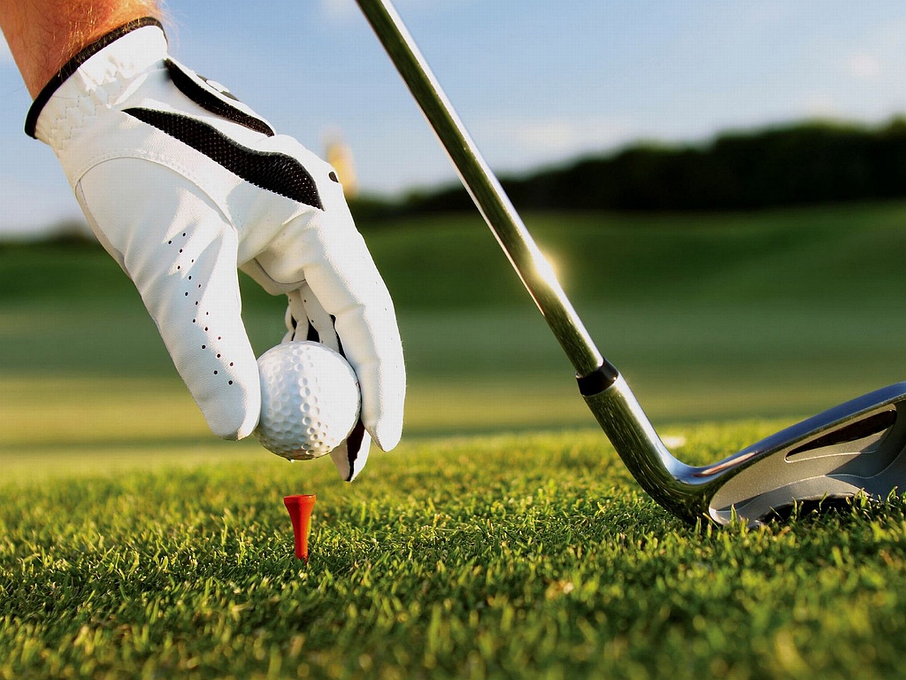 golf, sports, glove, golf ball, golf club, hand QHD