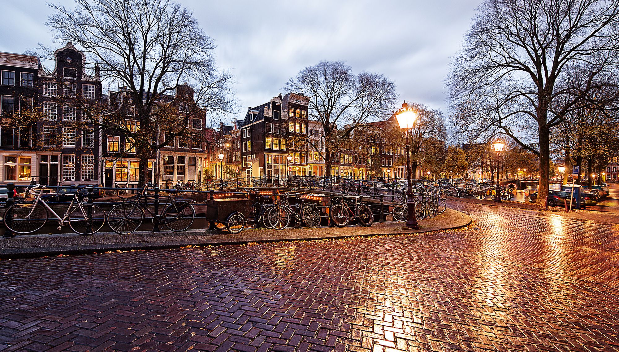 light, cities, netherlands, man made, amsterdam, bicycle, rain, reflection