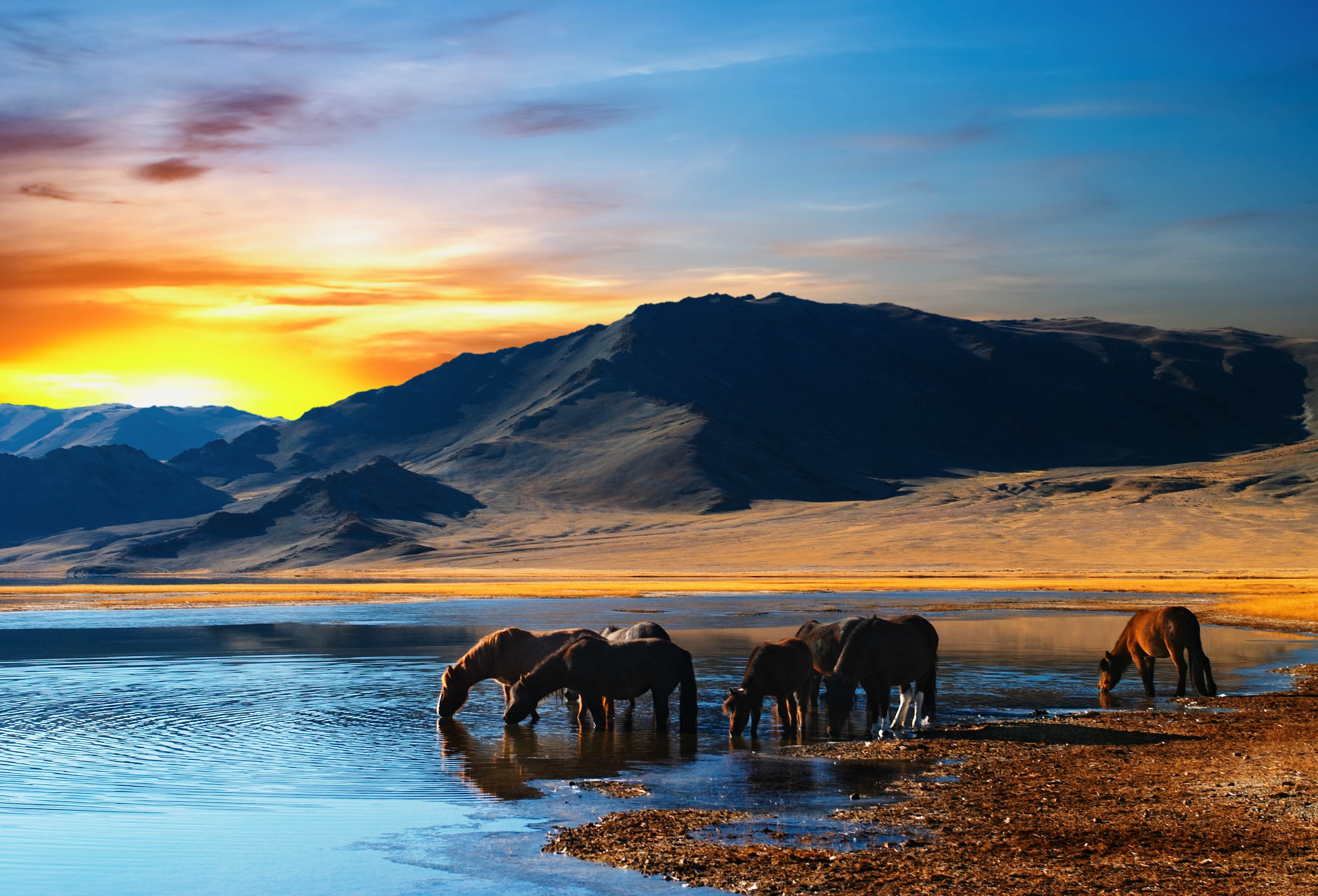 horses, mountains, animals, sunset, lake, herd, watering, waterhole