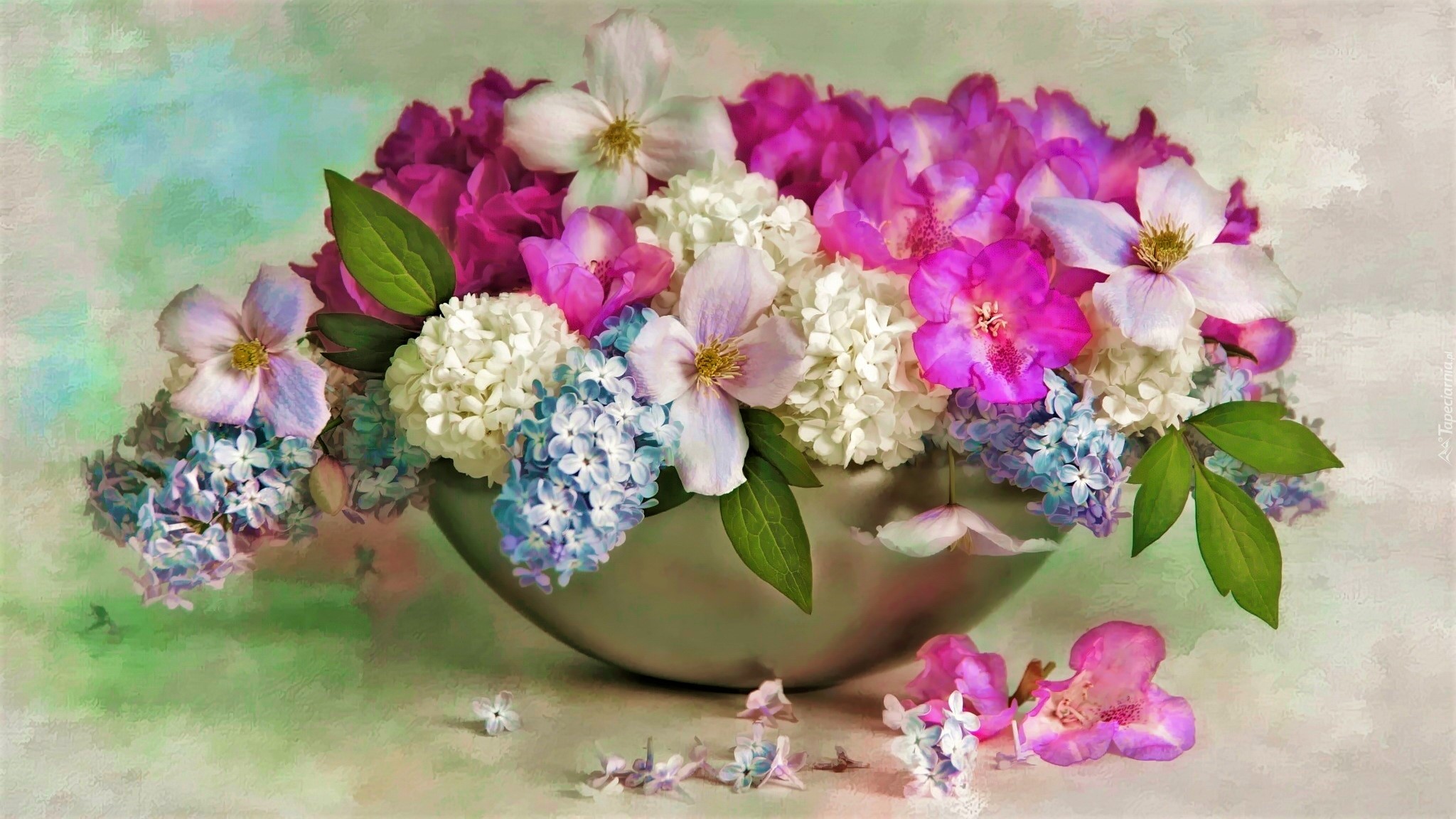 vertical wallpaper photography, still life, bowl, colorful, flower, pink flower, spring, white flower