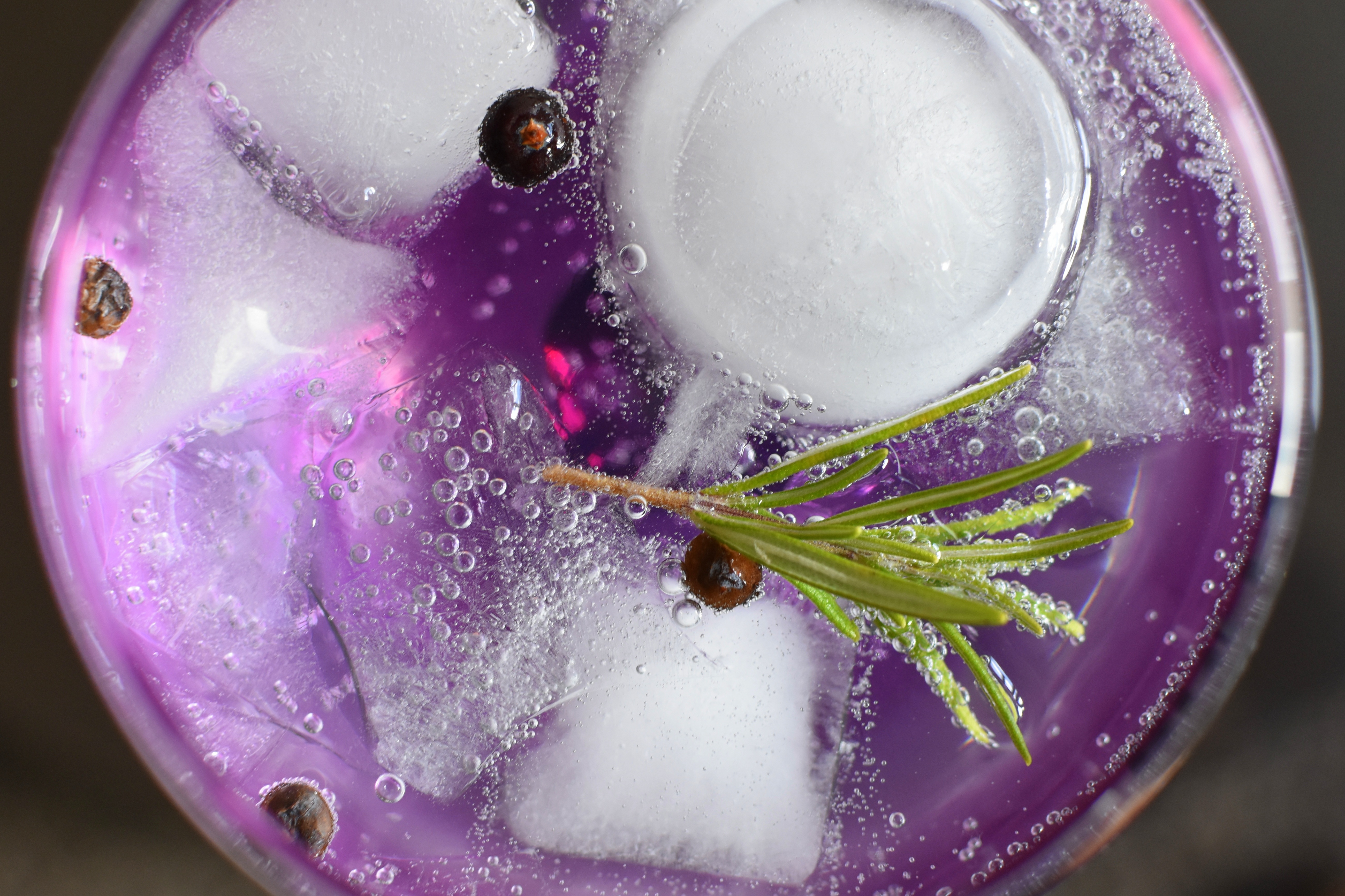 food, ice, currant, rosemary, tonic High Definition image
