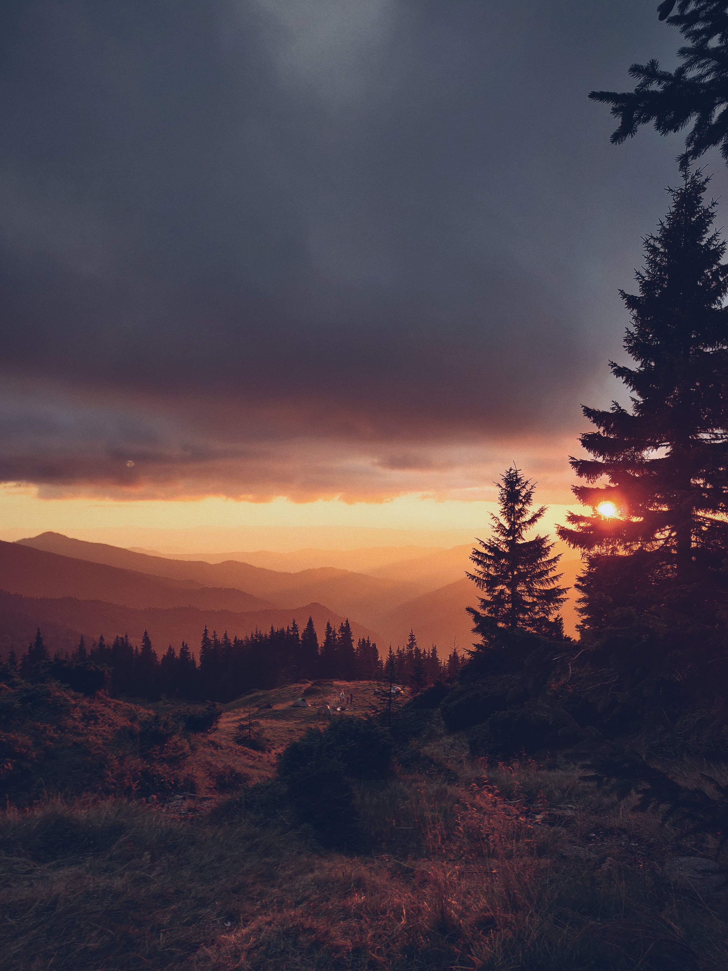 Free download wallpaper Mountains, Spruce, Fir, Dahl, Nature, Sunset, Sun, Distance on your PC desktop
