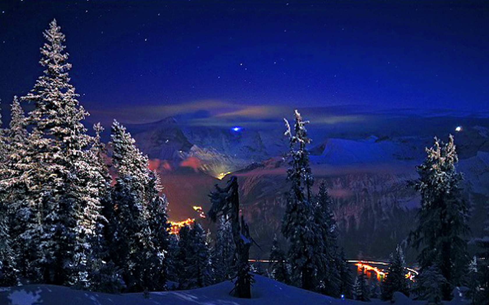 Шикарные ели зимой ночью.фото