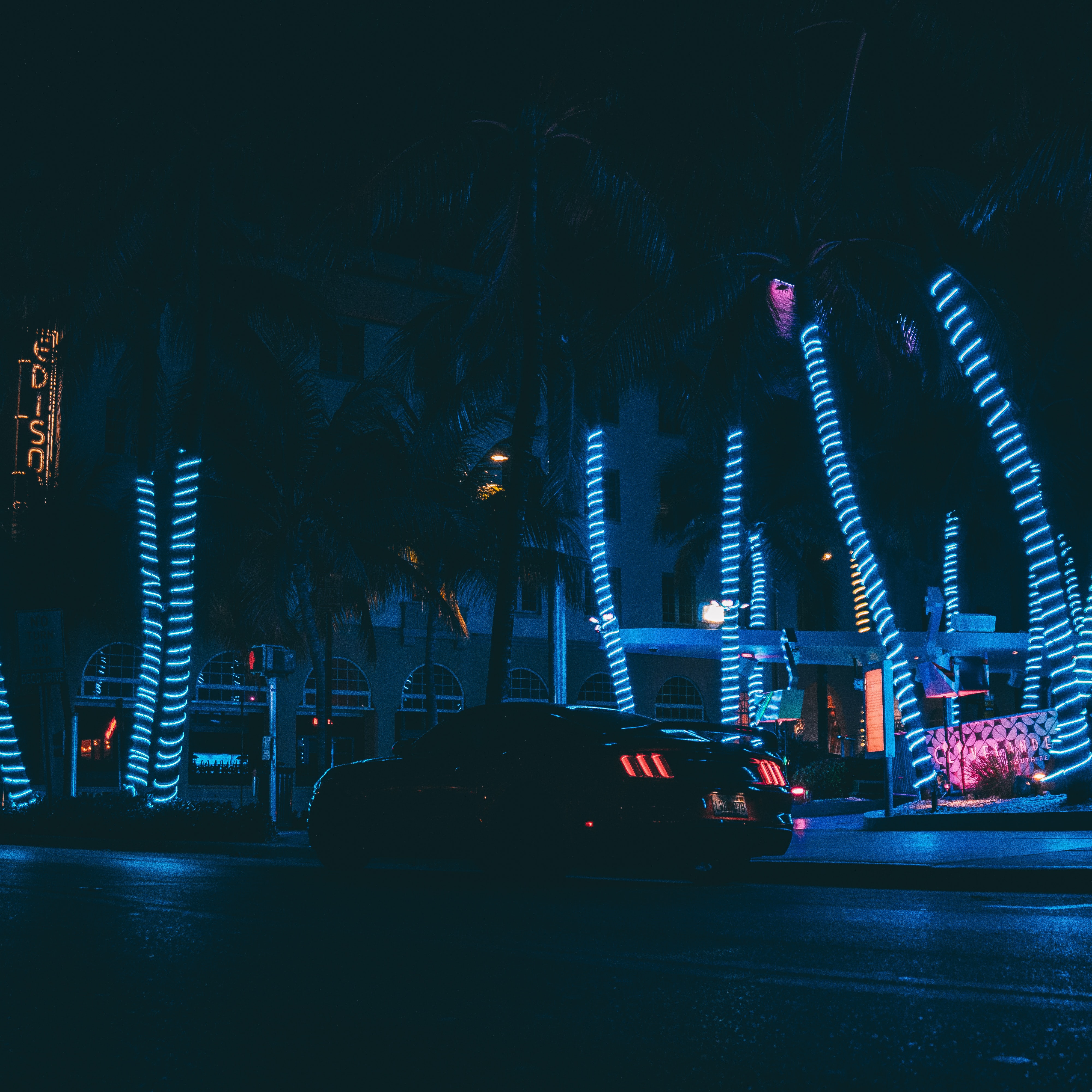 android car, sports car, night city, neon, sports, palms, cars