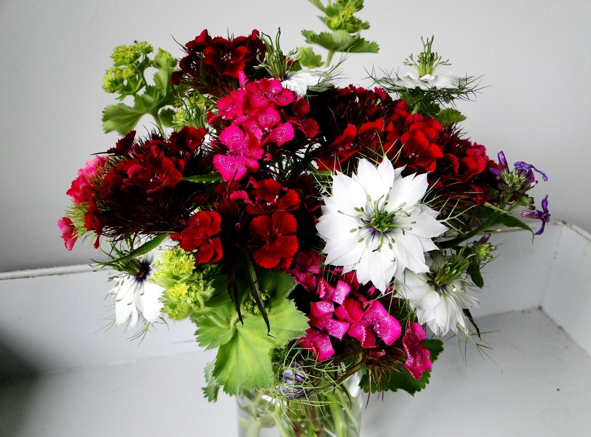Free download wallpaper Carnations, Bouquet, Nigella, Flowers, It's Beautiful, Handsomely on your PC desktop