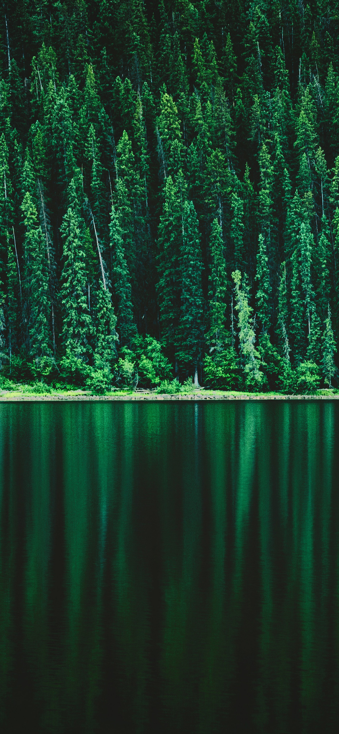 Download mobile wallpaper Nature, Pine, Lake, Reflection, Forest, Earth, Greenery for free.