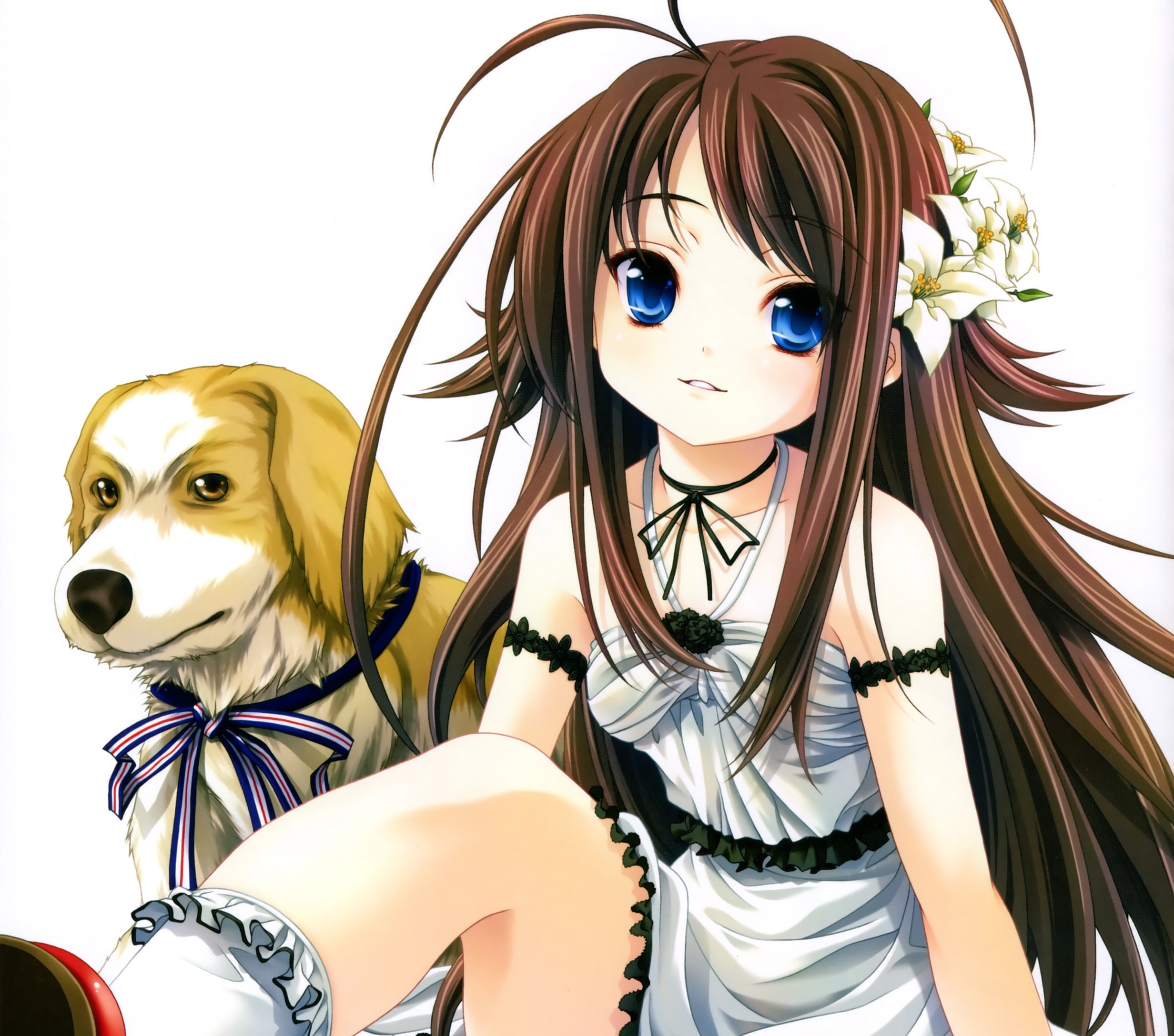 Smile Dog By Sadistic  Creepypasta Smile Dog Anime  Free Transparent PNG  Clipart Images Download