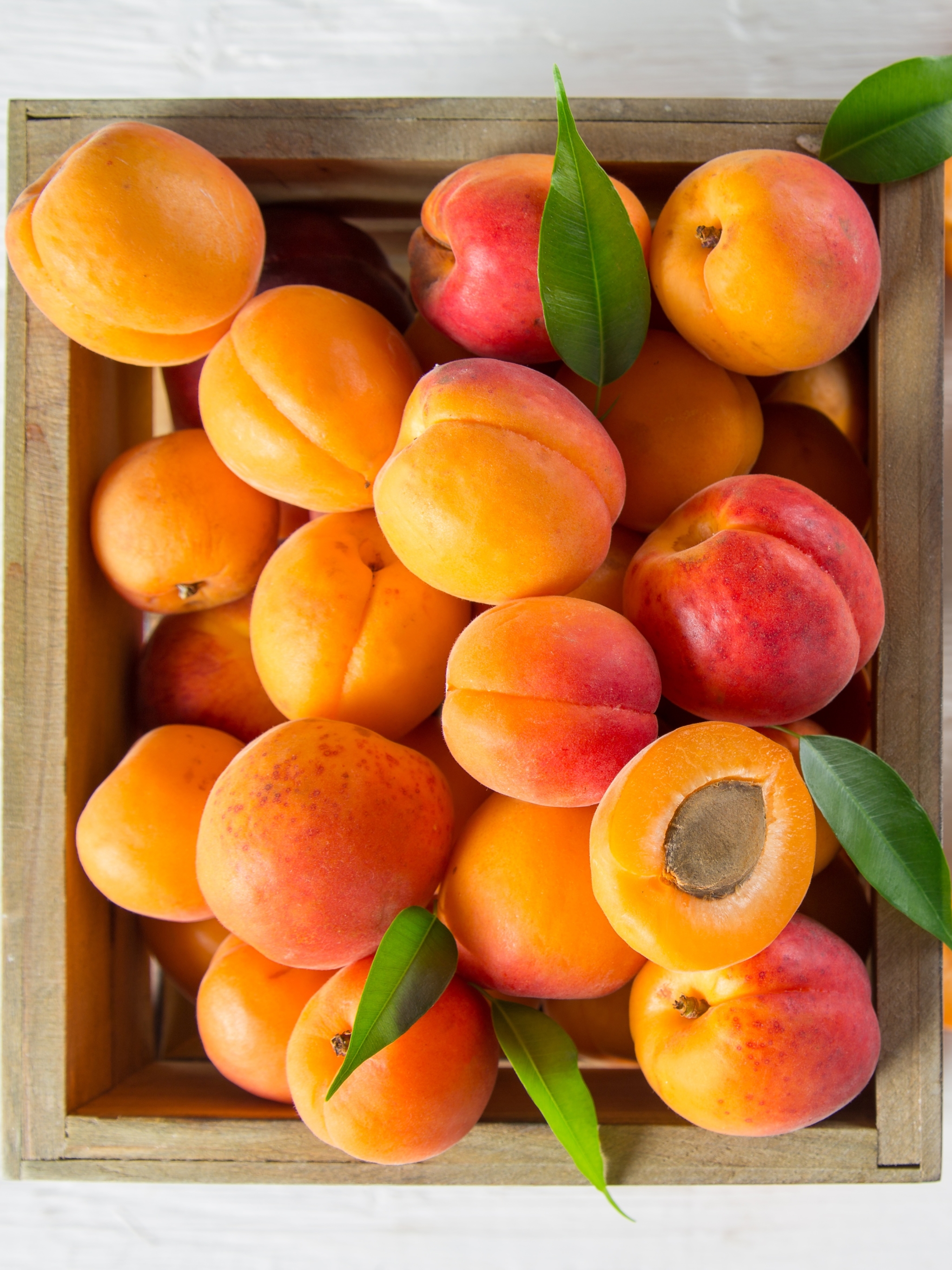Абрикос и персик фото. Хонобах абрикос. Персик (фрукт). Персик и абрикос. Абрикос персиковый.