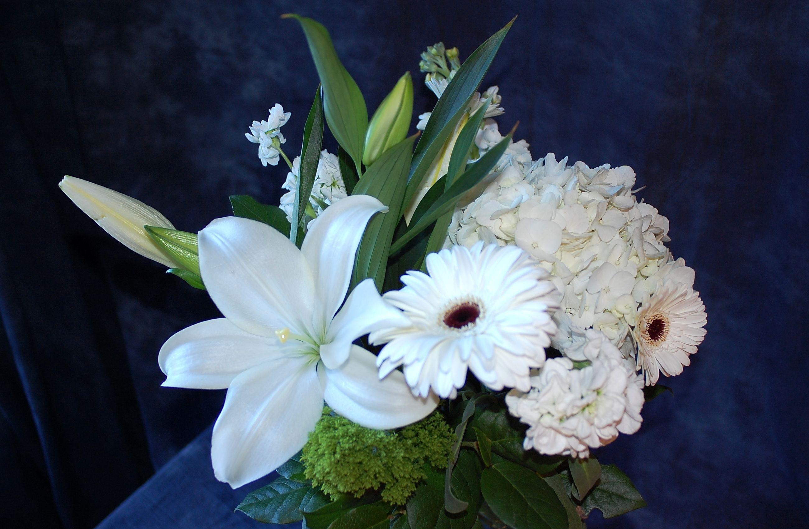Laden Sie das Gerbera, Strauß, Bouquet, Schneewittchen, Schneeweiß, Lilien, Hortensie, Blumen-Bild kostenlos auf Ihren PC-Desktop herunter