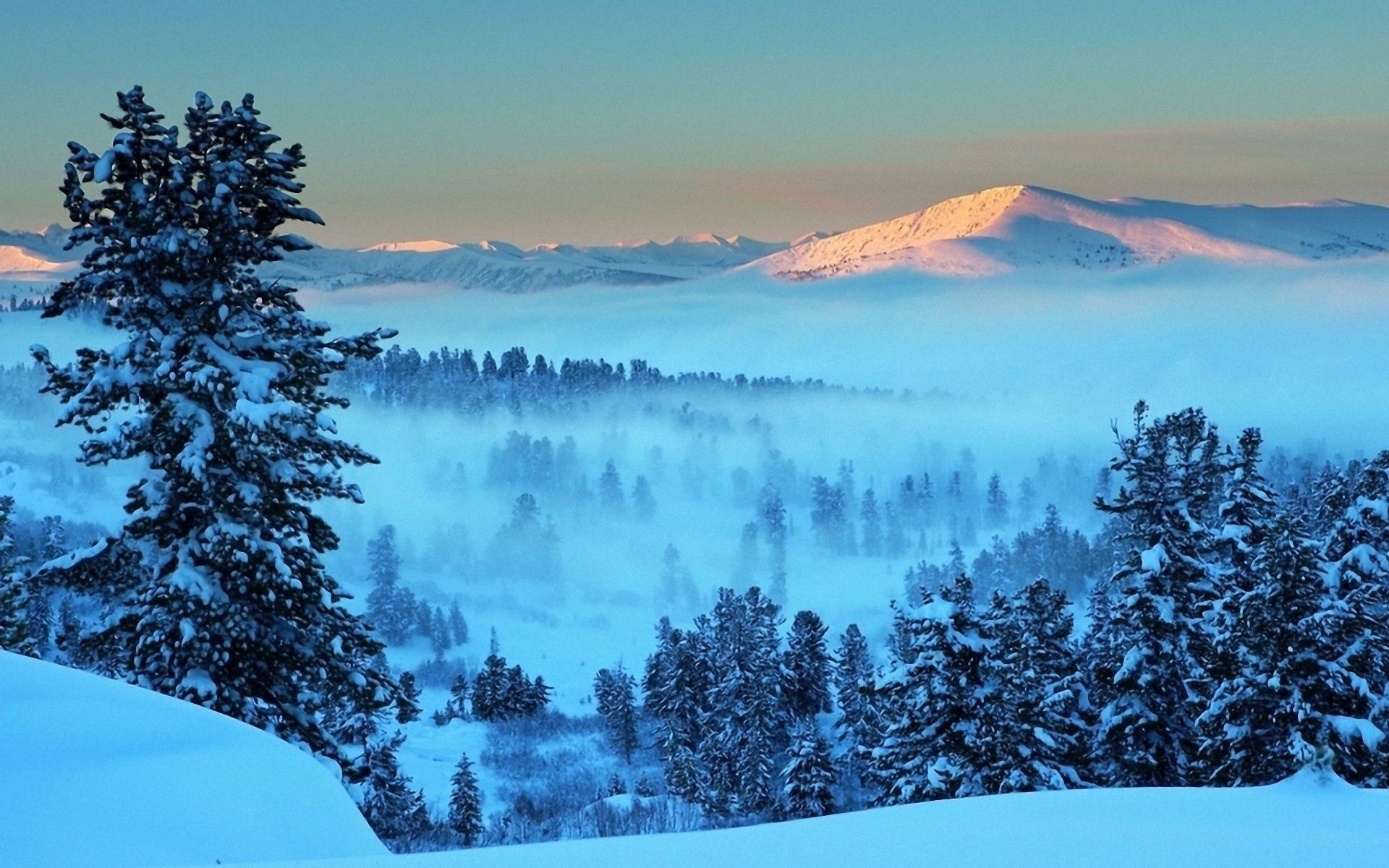 156822 Hintergrundbild herunterladen schnee, landschaft, natur, bäume, morgendämmerung, berg, scheinen, licht, nebel, morgen, stille, dahl, distanz, aß, aßen, erwachen - Bildschirmschoner und Bilder kostenlos