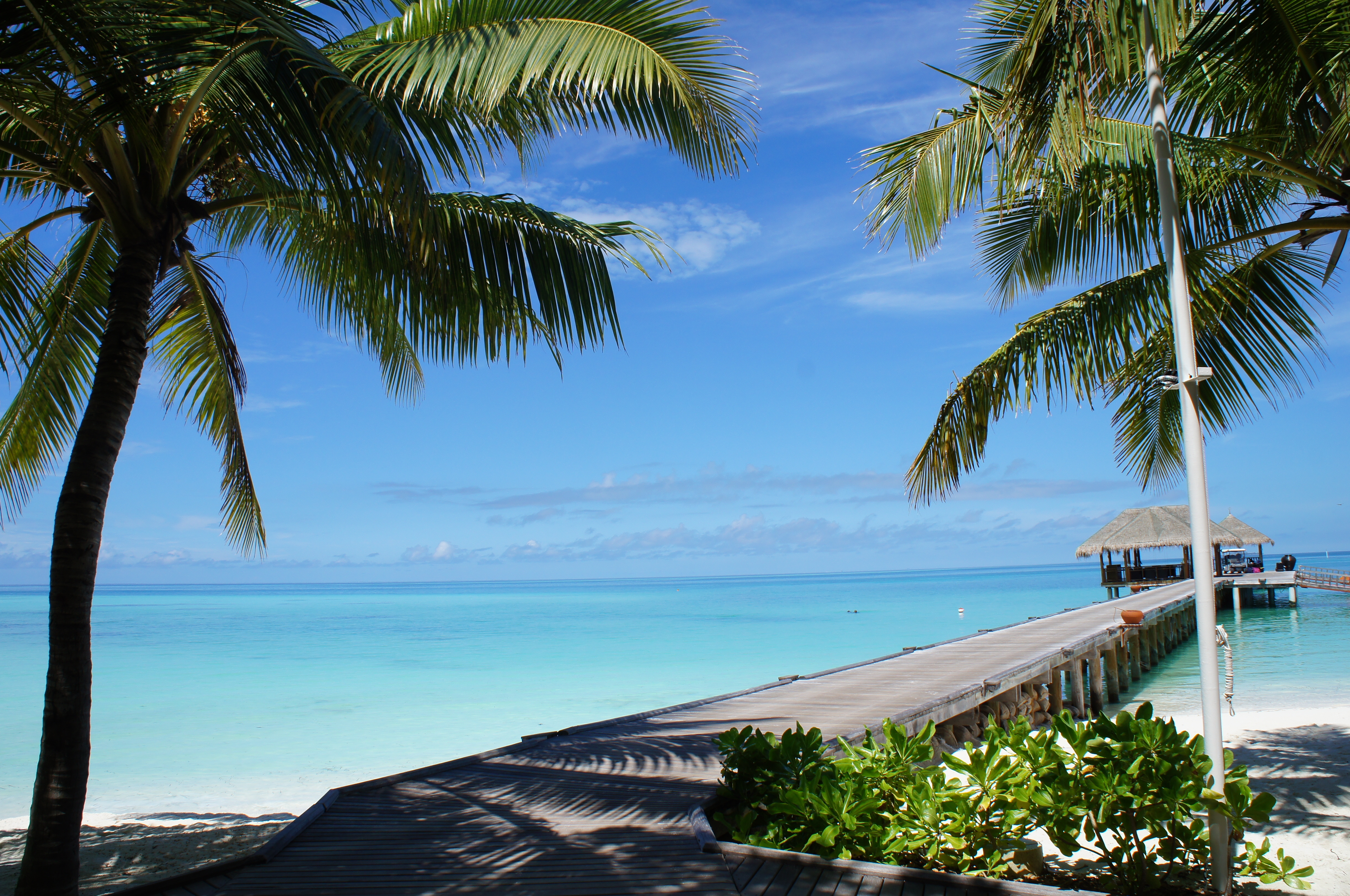 Laden Sie das Es Ist Wunderschön, Natur, Tropen, Hübsch, Malediven, Strand-Bild kostenlos auf Ihren PC-Desktop herunter