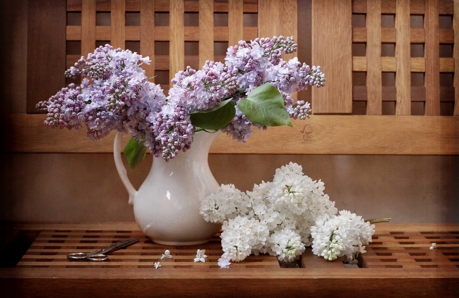 flowers, lilac, branches, jug, bench, scissors download HD wallpaper