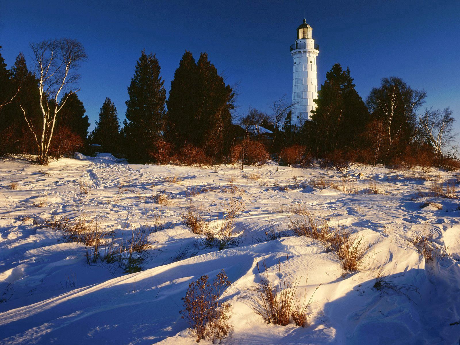 Laden Sie das Natur, Bäume, Lake Michigan, Schnee, Leuchtturm-Bild kostenlos auf Ihren PC-Desktop herunter