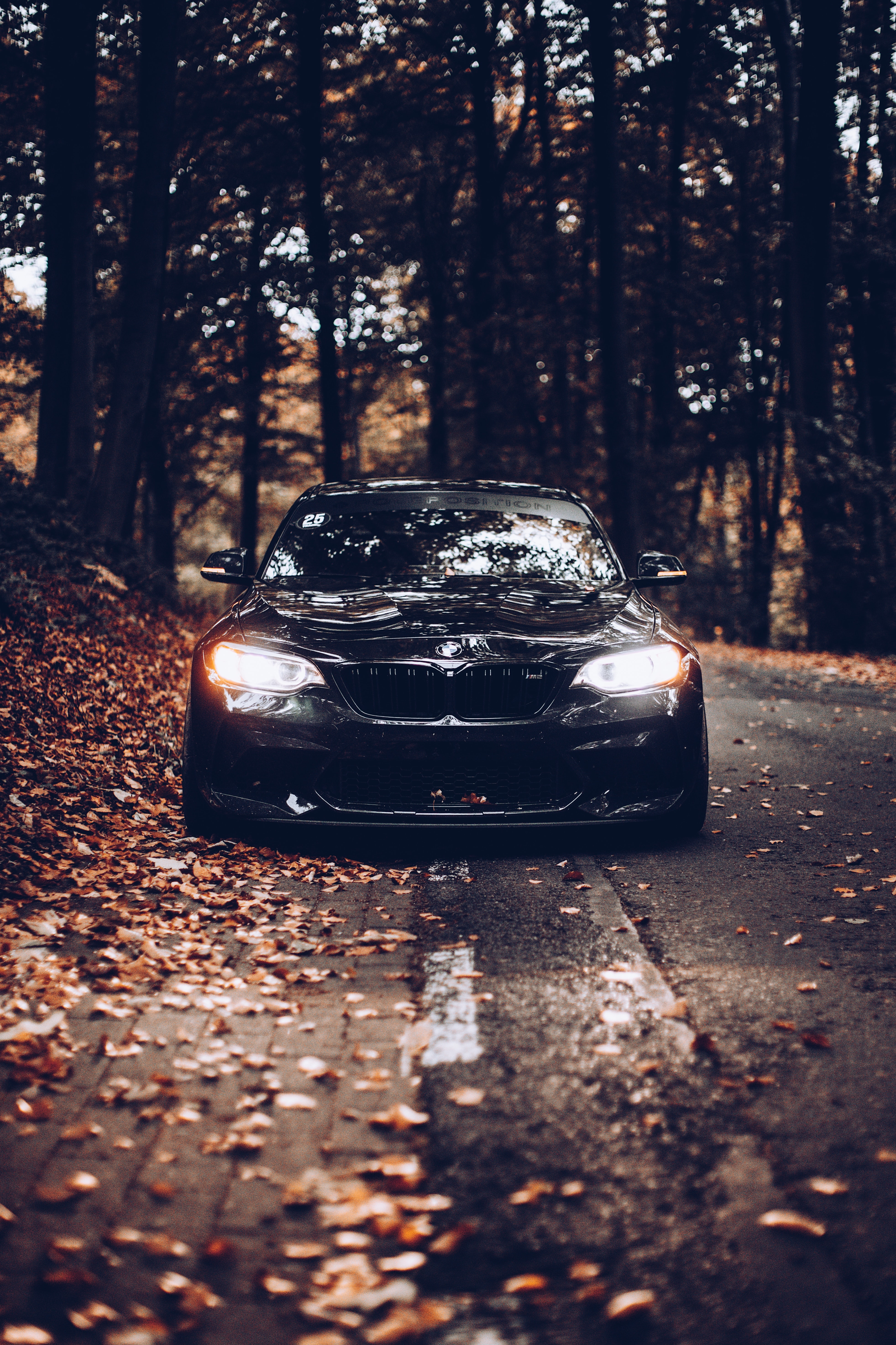 front view, black, cars, bmw, autumn, car Phone Background
