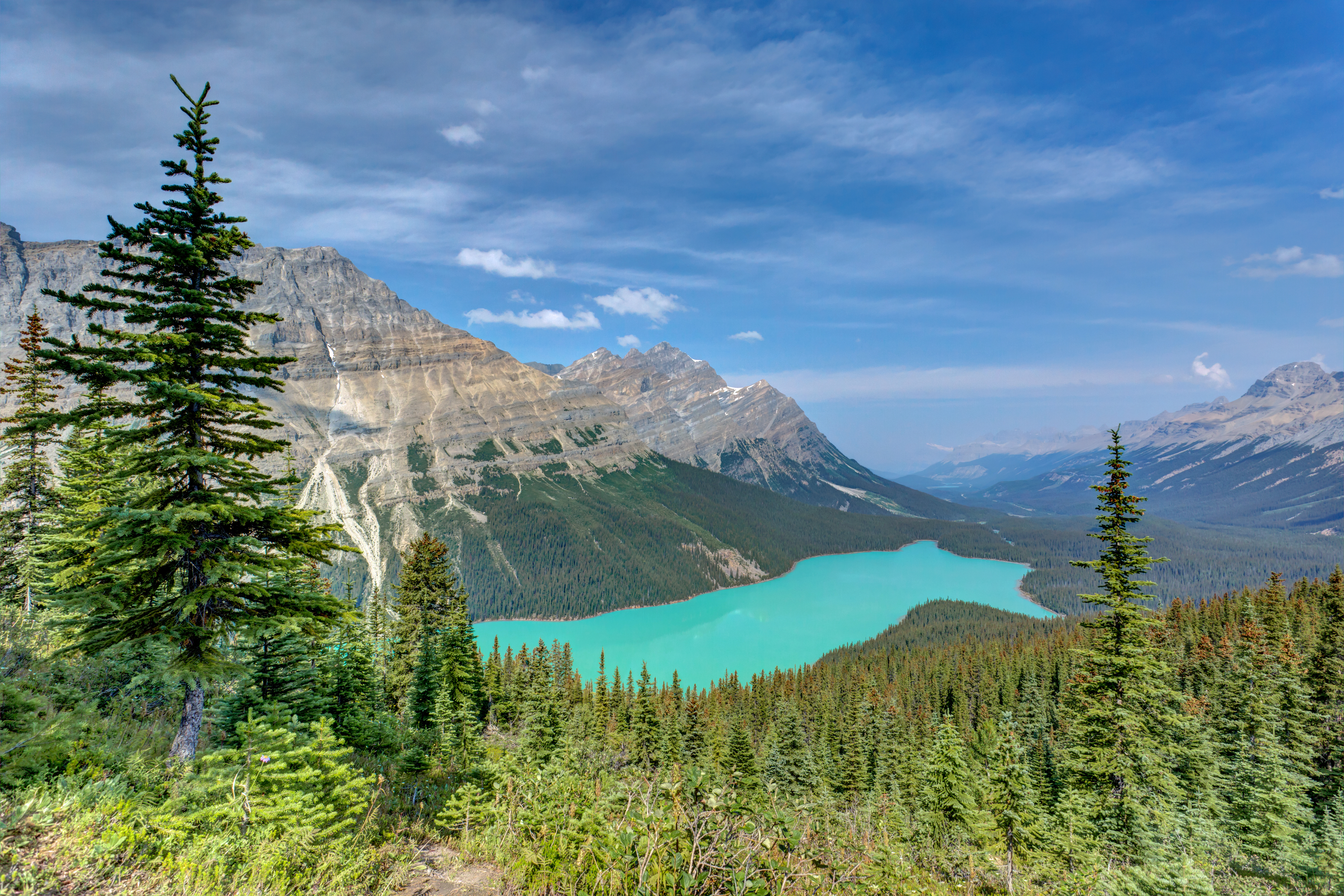 earth, peyto lake, alberta, banff national park, canada, forest, lake, landscape, mountain, nature, lakes wallpapers for tablet