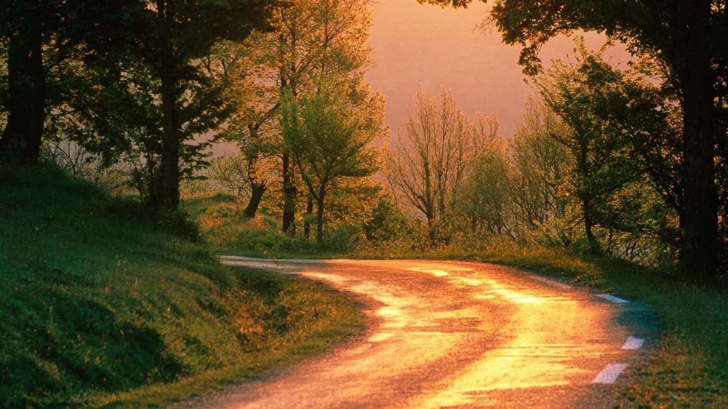 Счастья и светлой дороги. Солнечная дорога. Сельская дорога. Тропинка к счастью. Дорога путь.