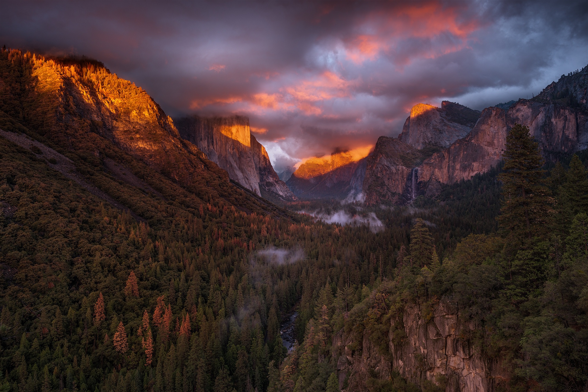 california, valley, earth, yosemite national park, cliff, forest, landscape, mountain, nature, national park
