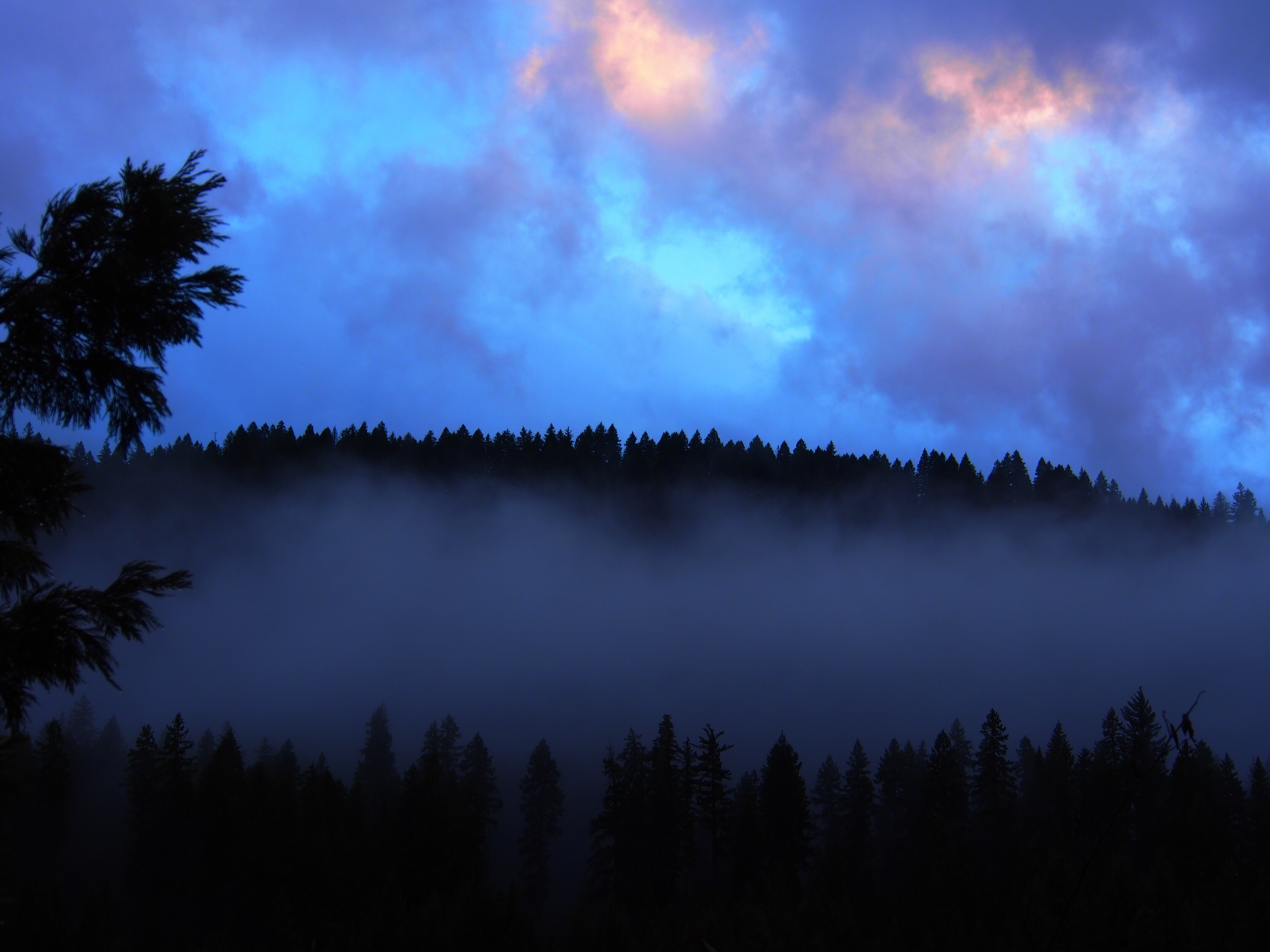 Скачати мобільні шпалери Сутінки, Туман, Хмари, Ліс, Природа безкоштовно.