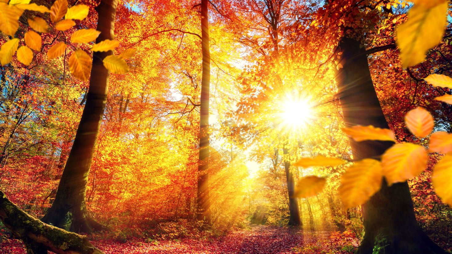 Осенний день картинки. Осеннее солнце. Солнечная осень. Осень солнце. Солнце осенью.