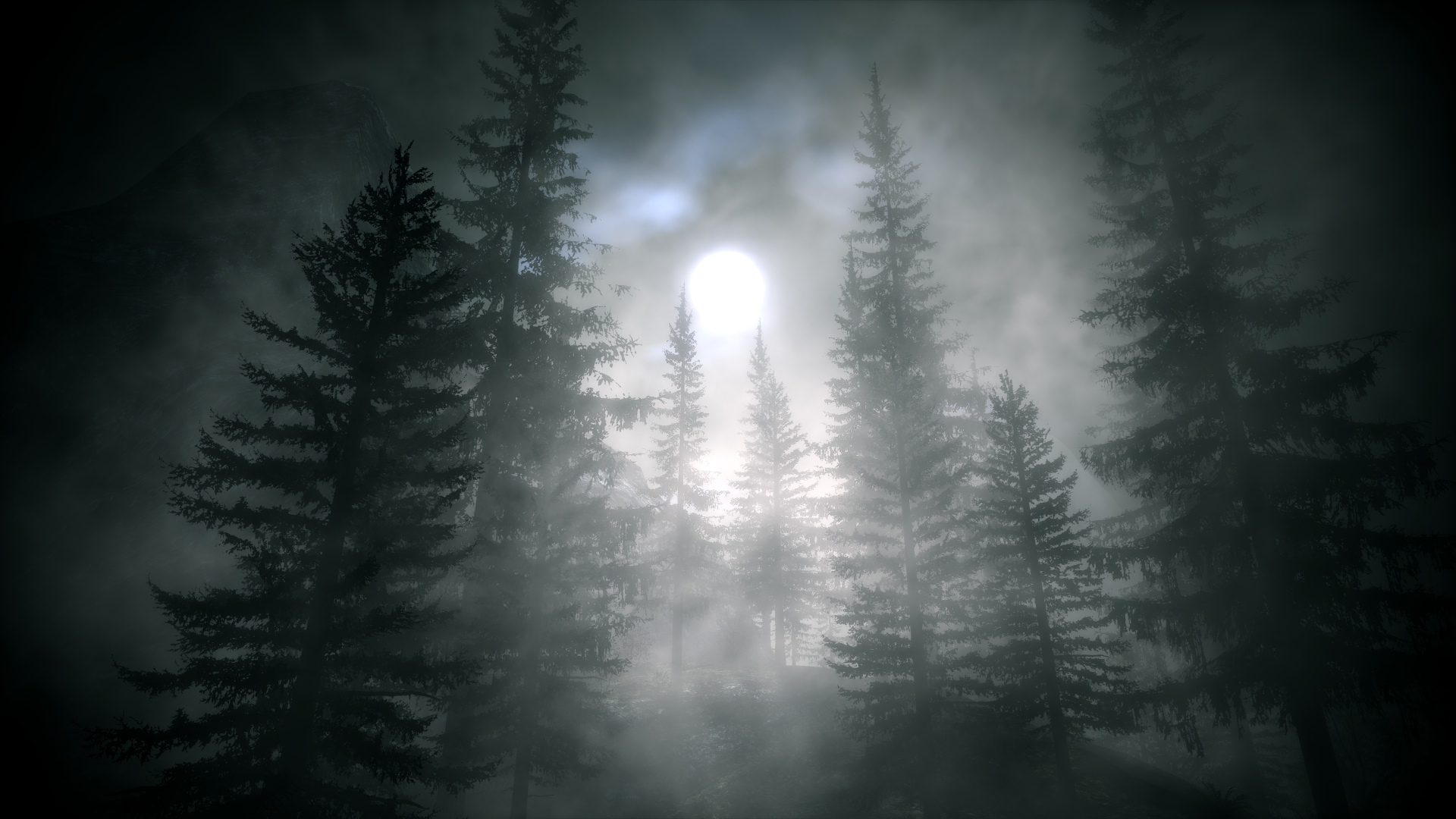 moonlight, artistic, nature, fog, forest, tree 4K