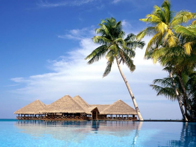 Download mobile wallpaper Palms, Sea, Landscape for free.