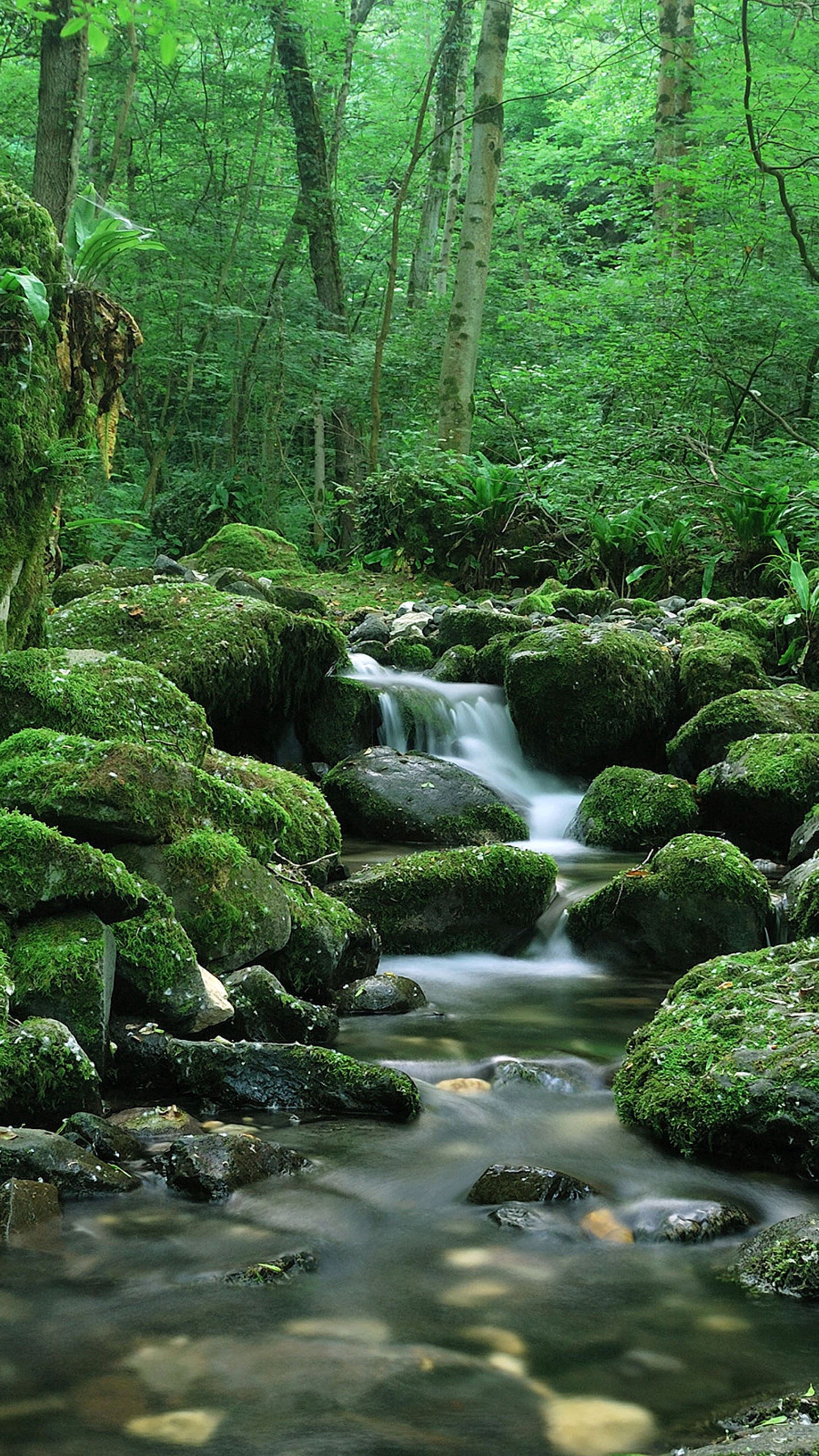 flow, nature, stones, waterfall, moss