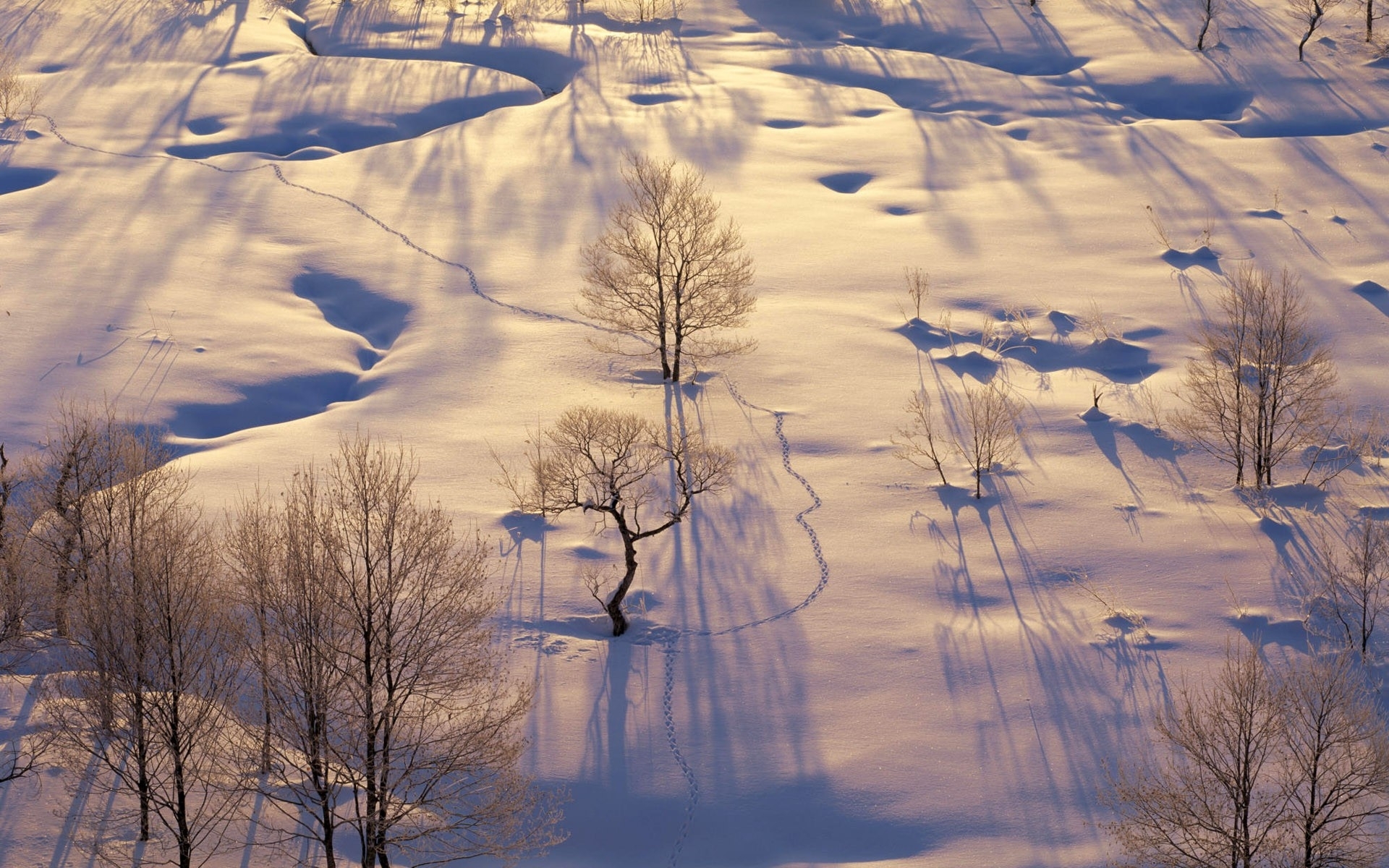 earth, winter, frost, snow, sunrise wallpapers for tablet