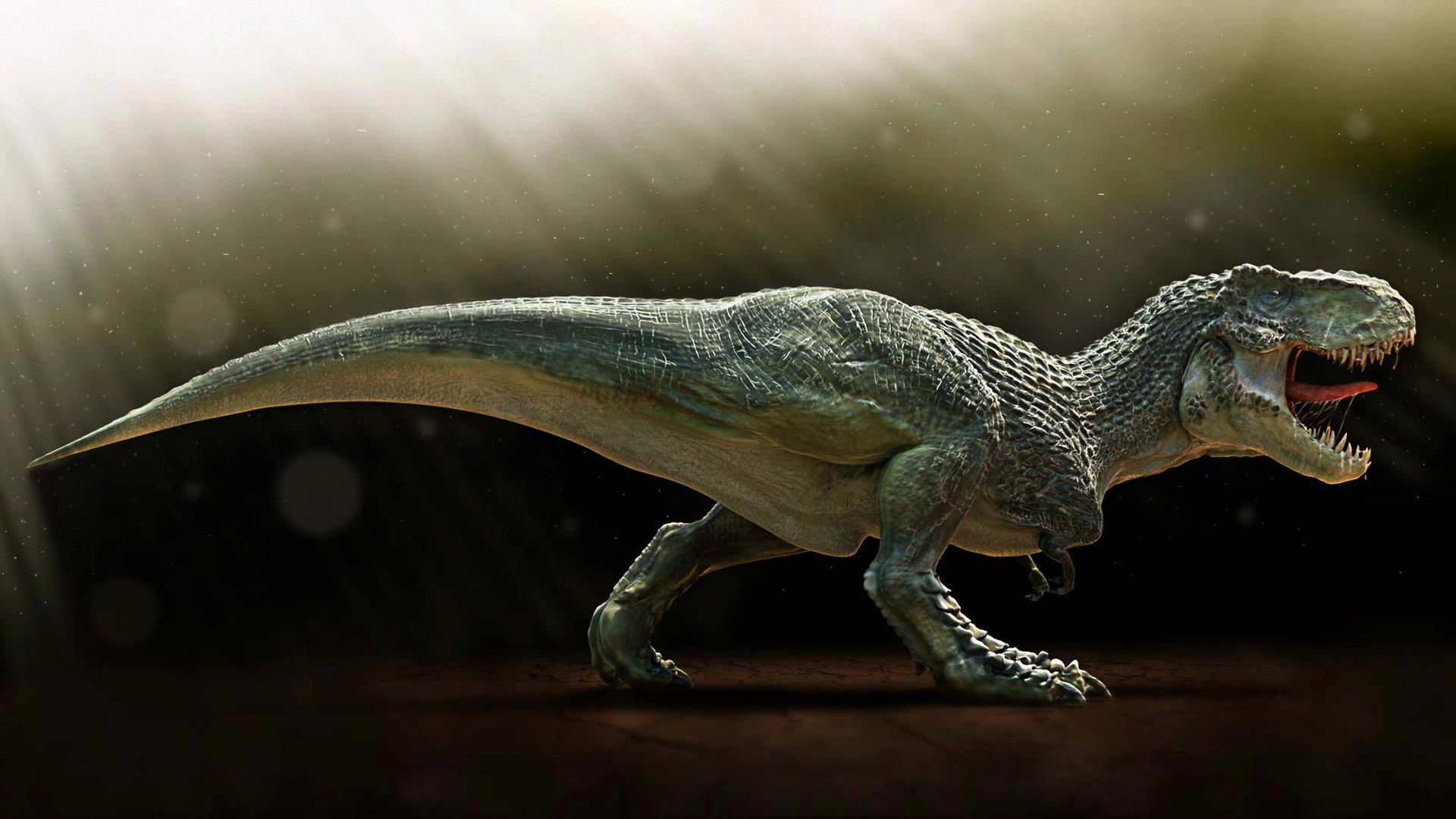 244233 Hintergrundbild herunterladen tiere, tyrannosaurus rex, dinosaurier - Bildschirmschoner und Bilder kostenlos