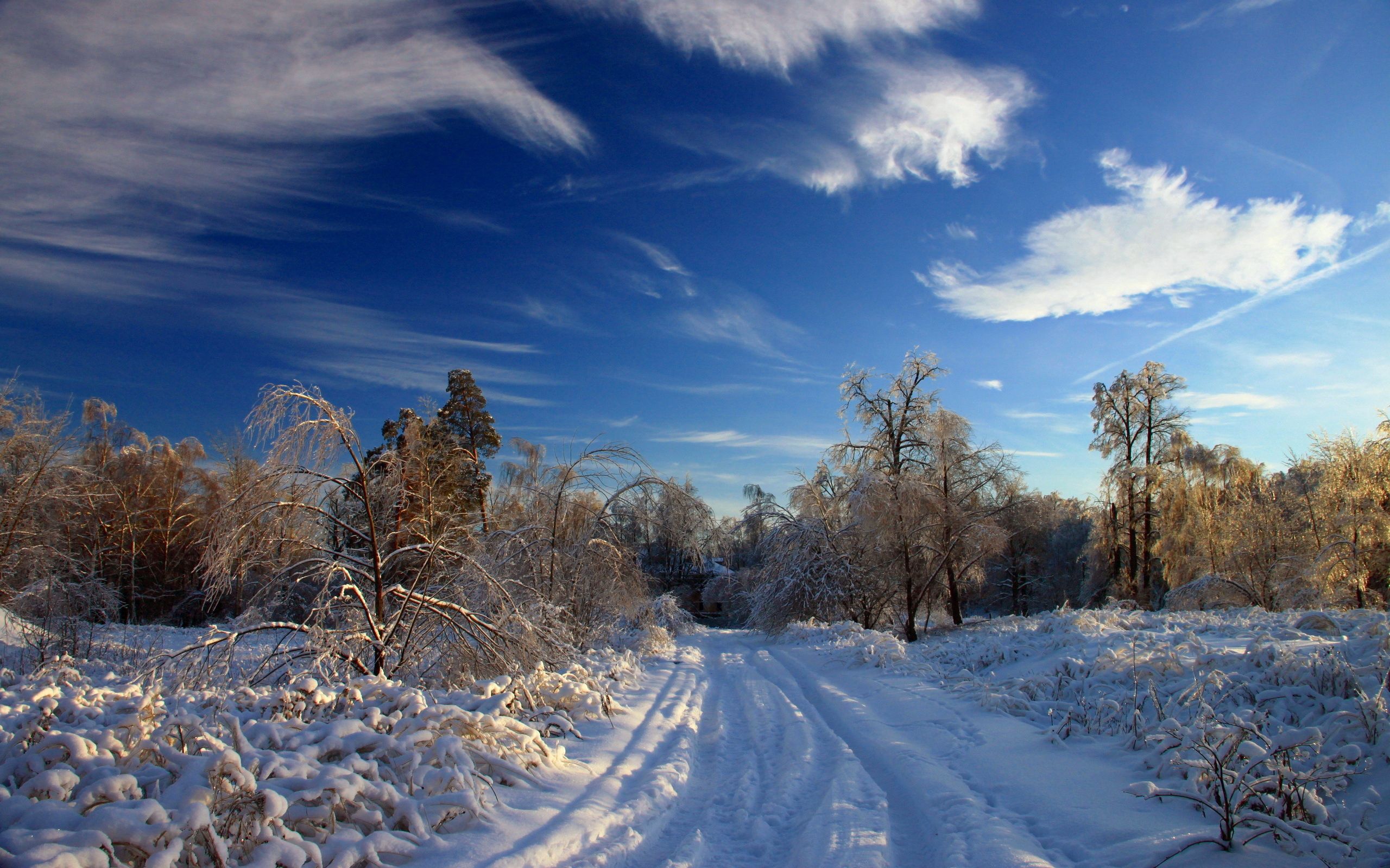 127453 Hintergrundbild herunterladen schnee, winter, natur, bäume, sky, clouds, bush, straße, driften, driftet, spuren, klar - Bildschirmschoner und Bilder kostenlos