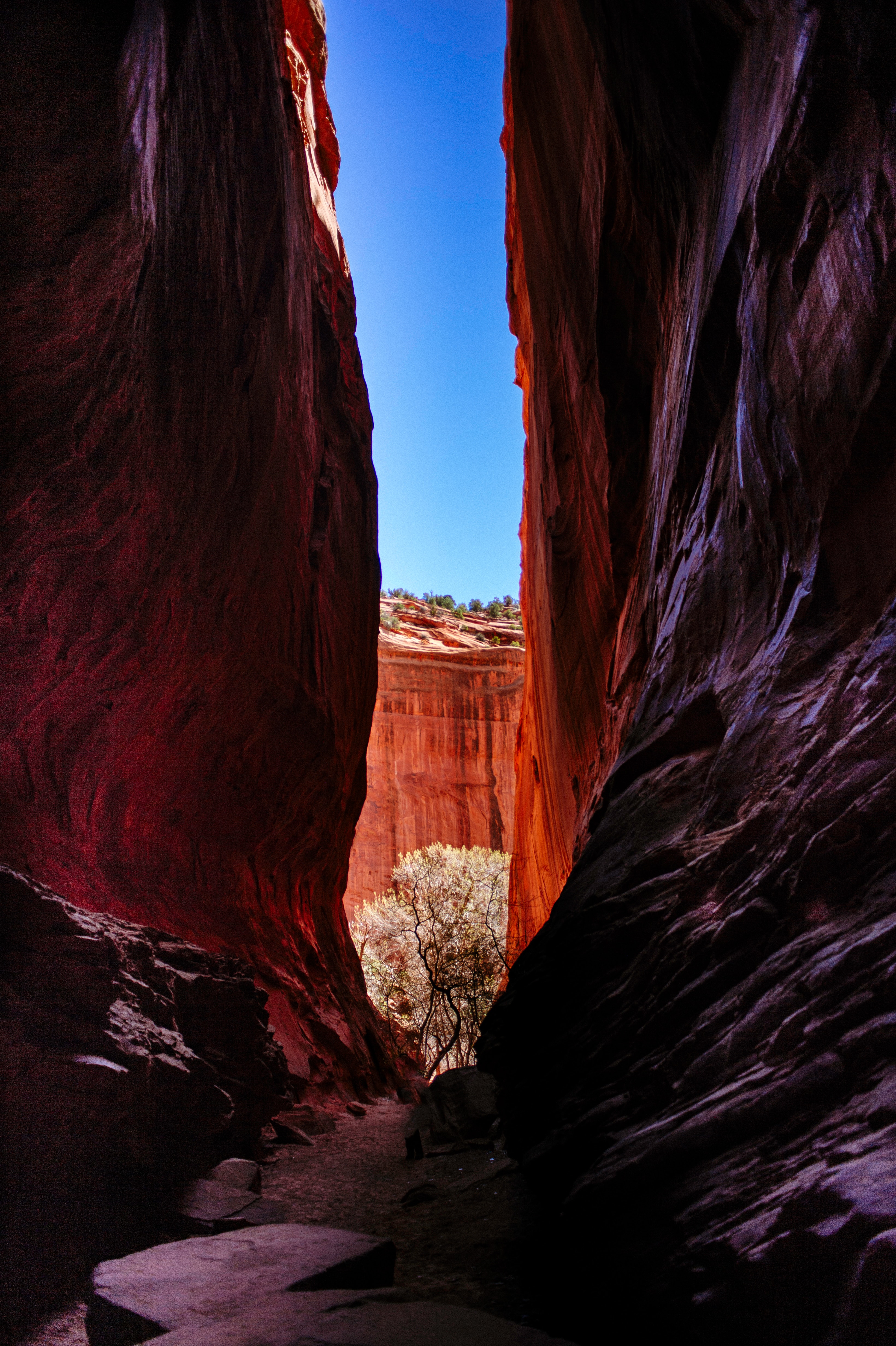 landscape, nature, canyon, rocks, gorge Desktop Wallpaper