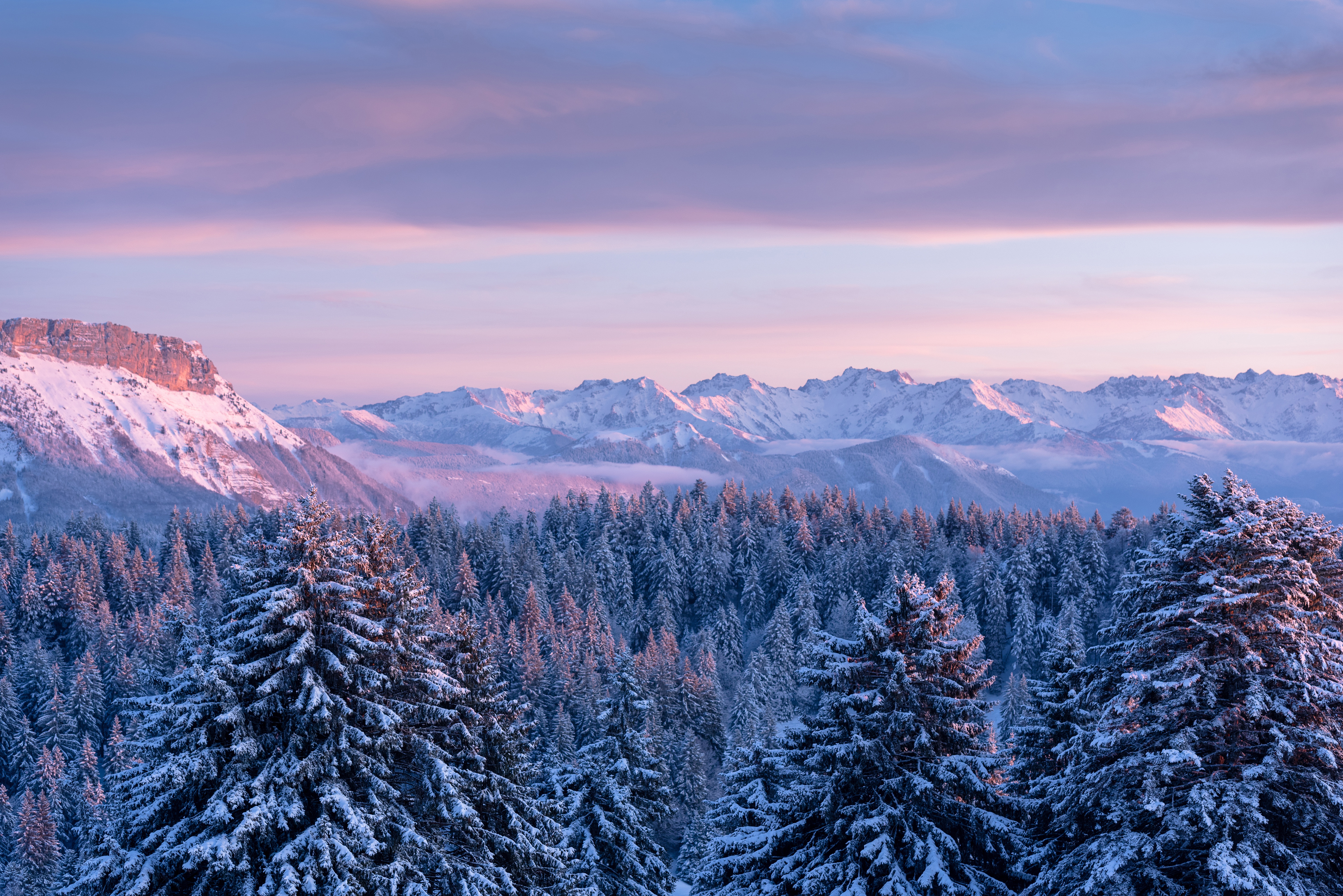 1533846 免費下載壁紙 自然, 冬季, 枞树, 森林, 法国, 山, 雪 屏保和圖片
