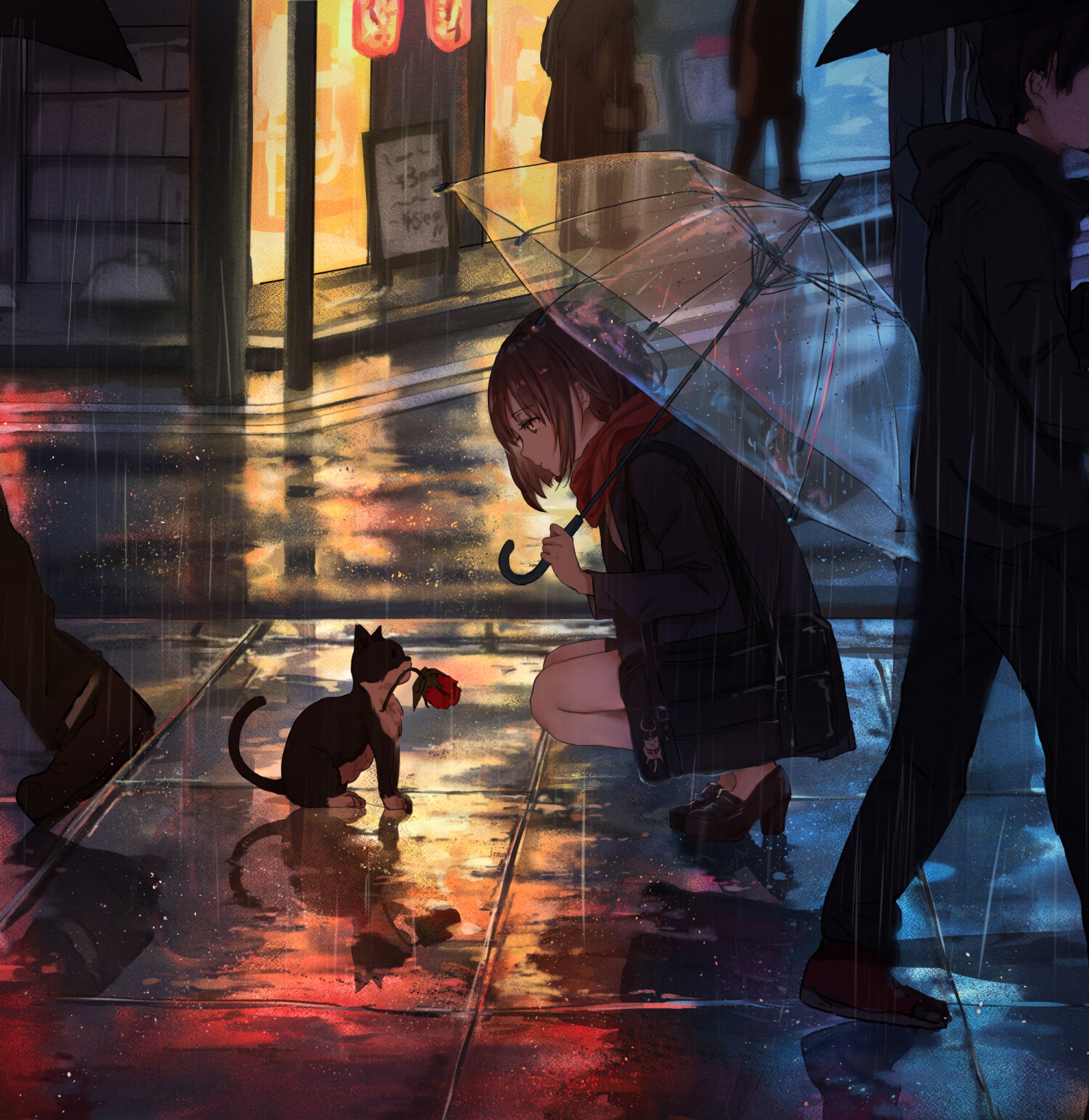anime, girl, rain, kitty, flower, kitten, street UHD