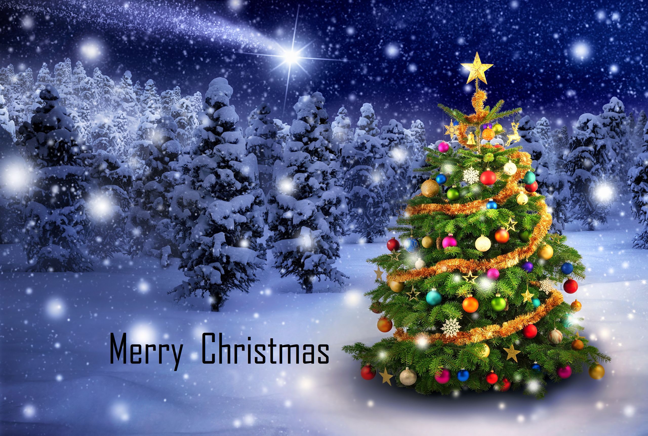 無料モバイル壁紙雪, クリスマス, クリスマスツリー, ホリデー, メリークリスマスをダウンロードします。