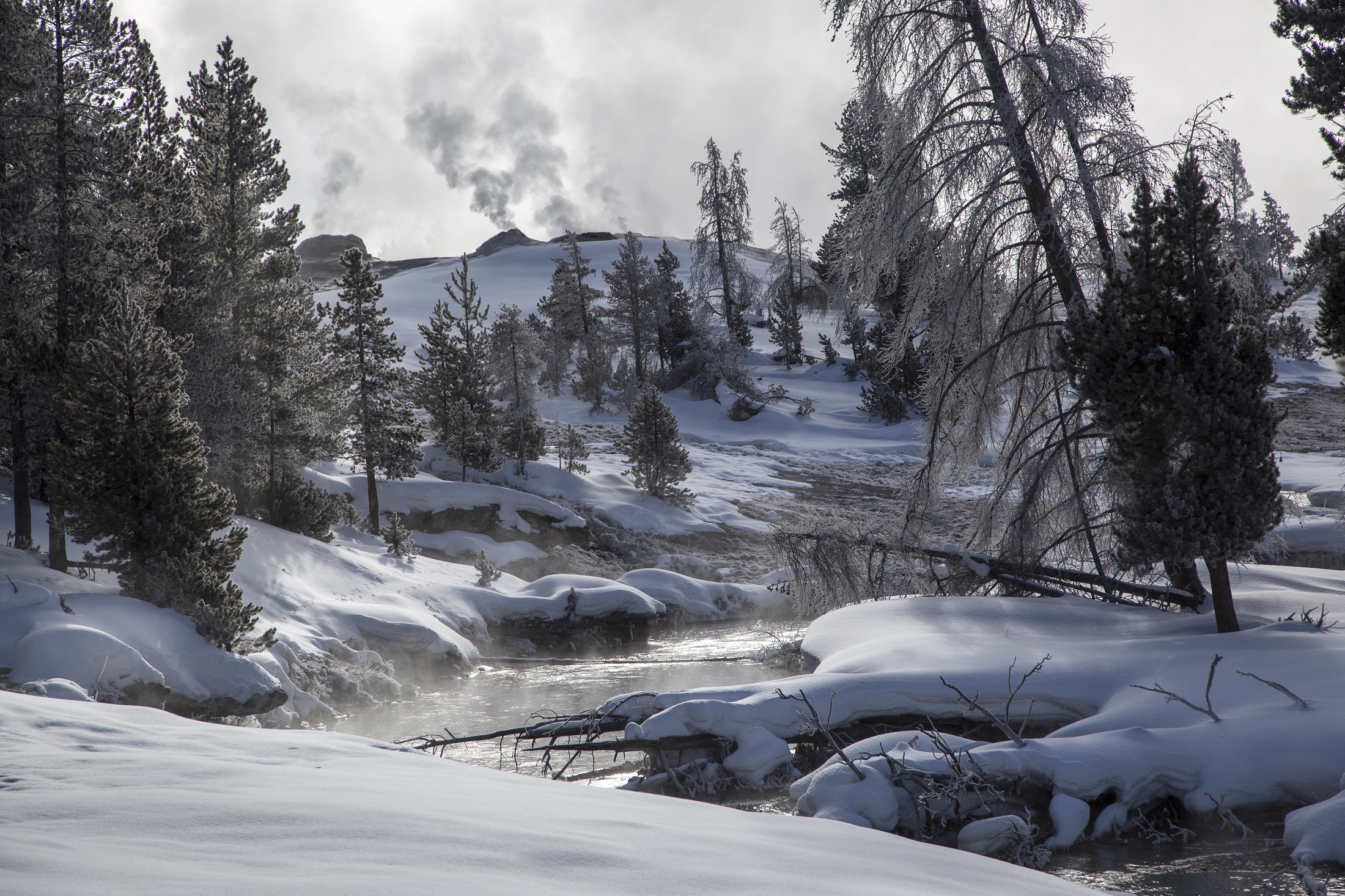 landscape, earth, yellowstone national park, nature, river, snow, tree, wilderness, winter, wyoming, yellowstone, national park