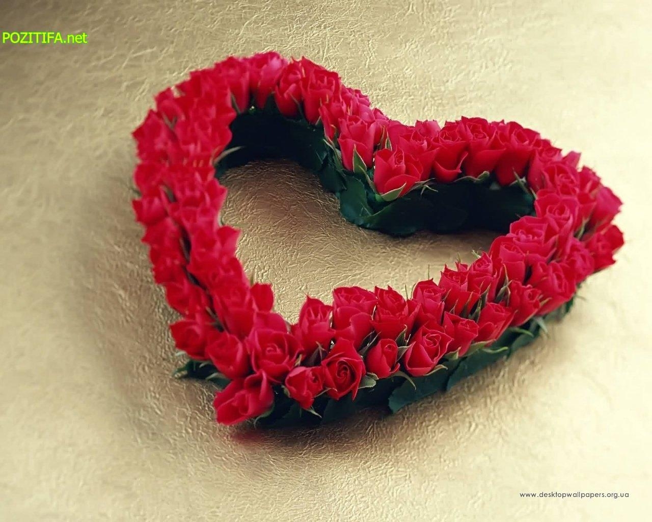 2872 скачать обои розы, растения, день святого валентина (valentine's day), открытки, сердца, любовь - заставки и картинки бесплатно