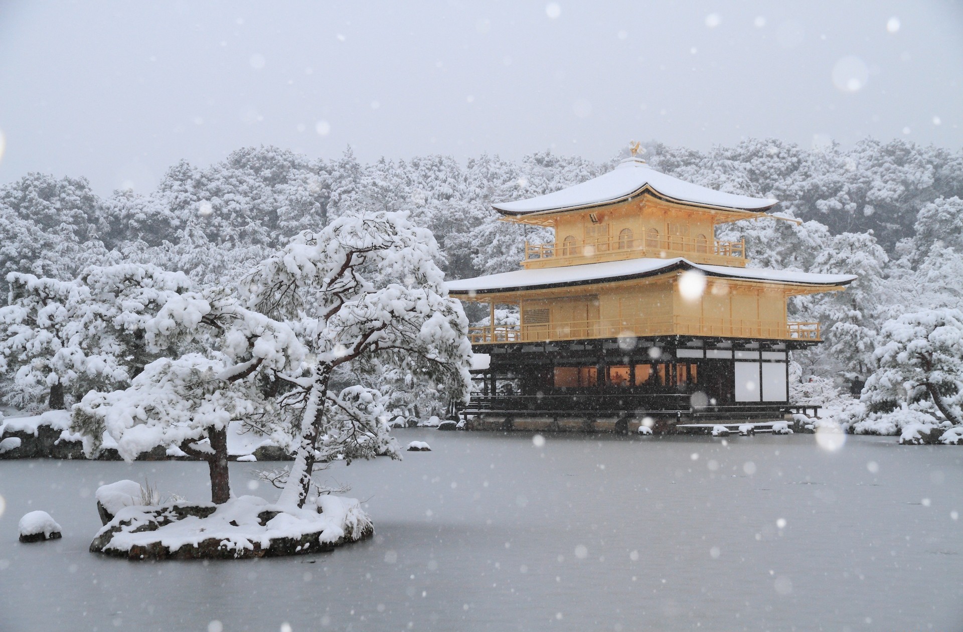 Téléchargez des papiers peints mobile Le Temple Du Pavillon D'or, Kinkaku Ji, Kyoto, Temples, Religieux, Japon, Chute De Neige gratuitement.